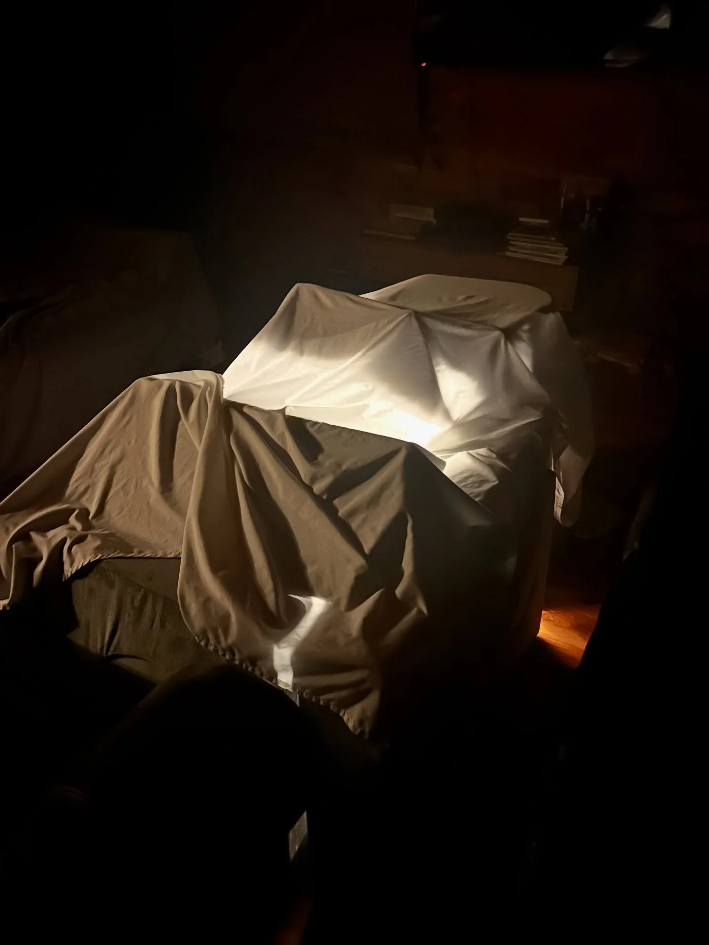 Fort builders welcome at RiverDaze! 🔦 🧺 💭 📚 👫🏼
#riverdazereatreatsc #airbnbsuperhost #vrbohost #clevelandsc #greenvillesc #upstatesc #cozycabin #vacationmode