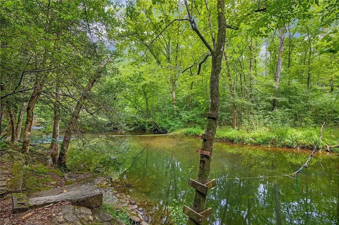 A serene forest scene with a calm, reflective river surrounded by green trees and foliage.
