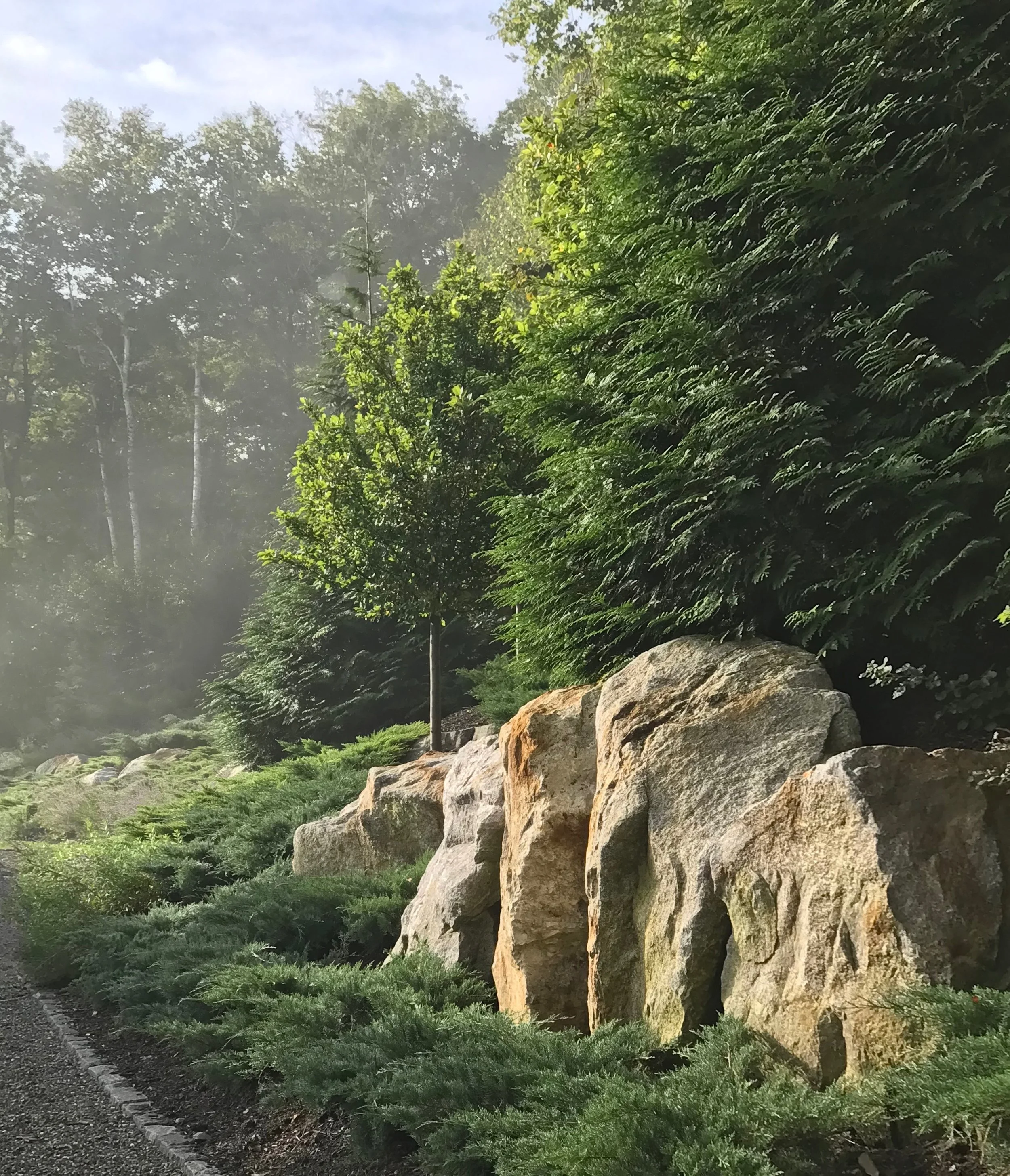 FullSizeRender 3.JPEG