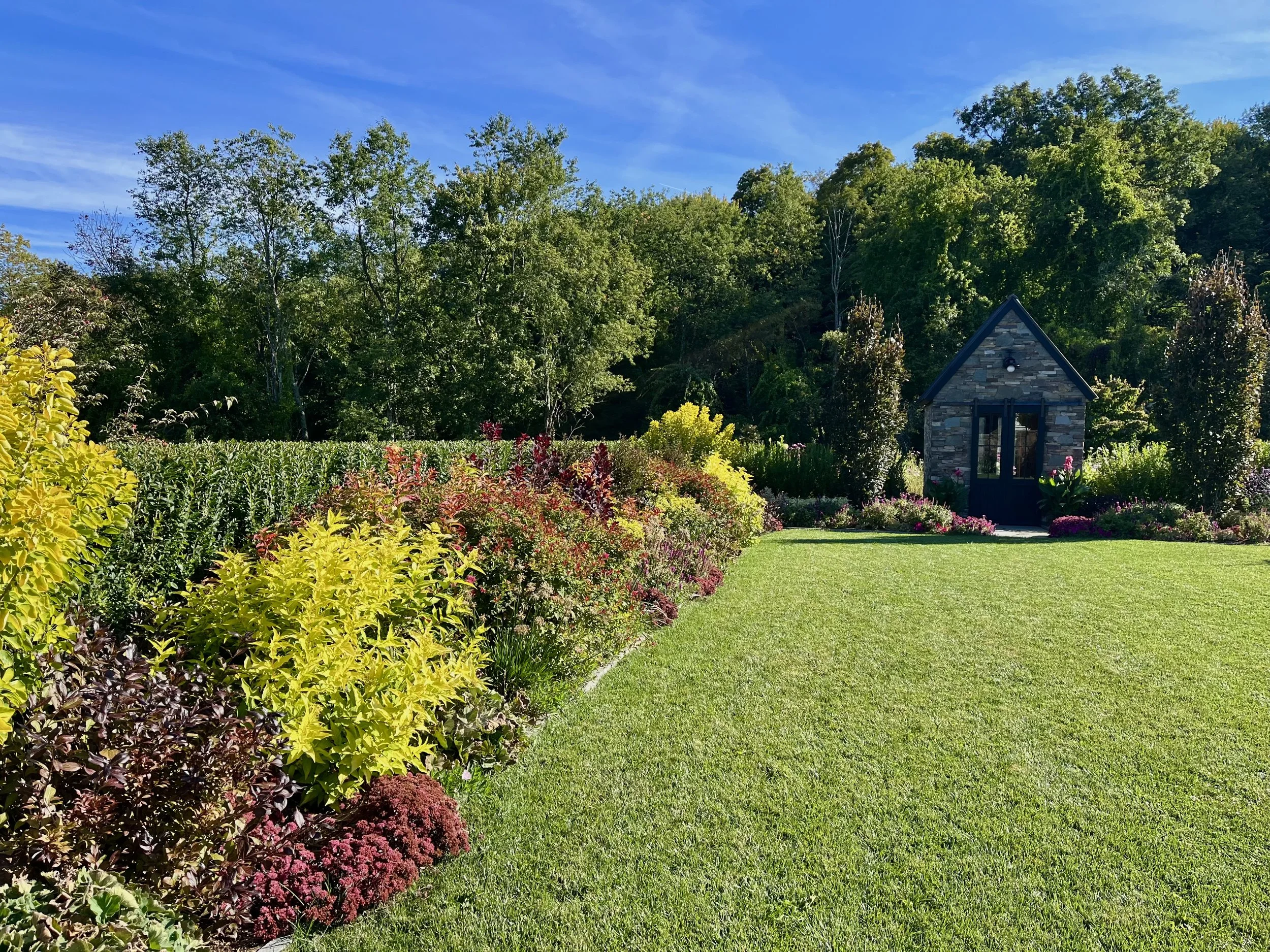 FullSizeRender 1.jpeg