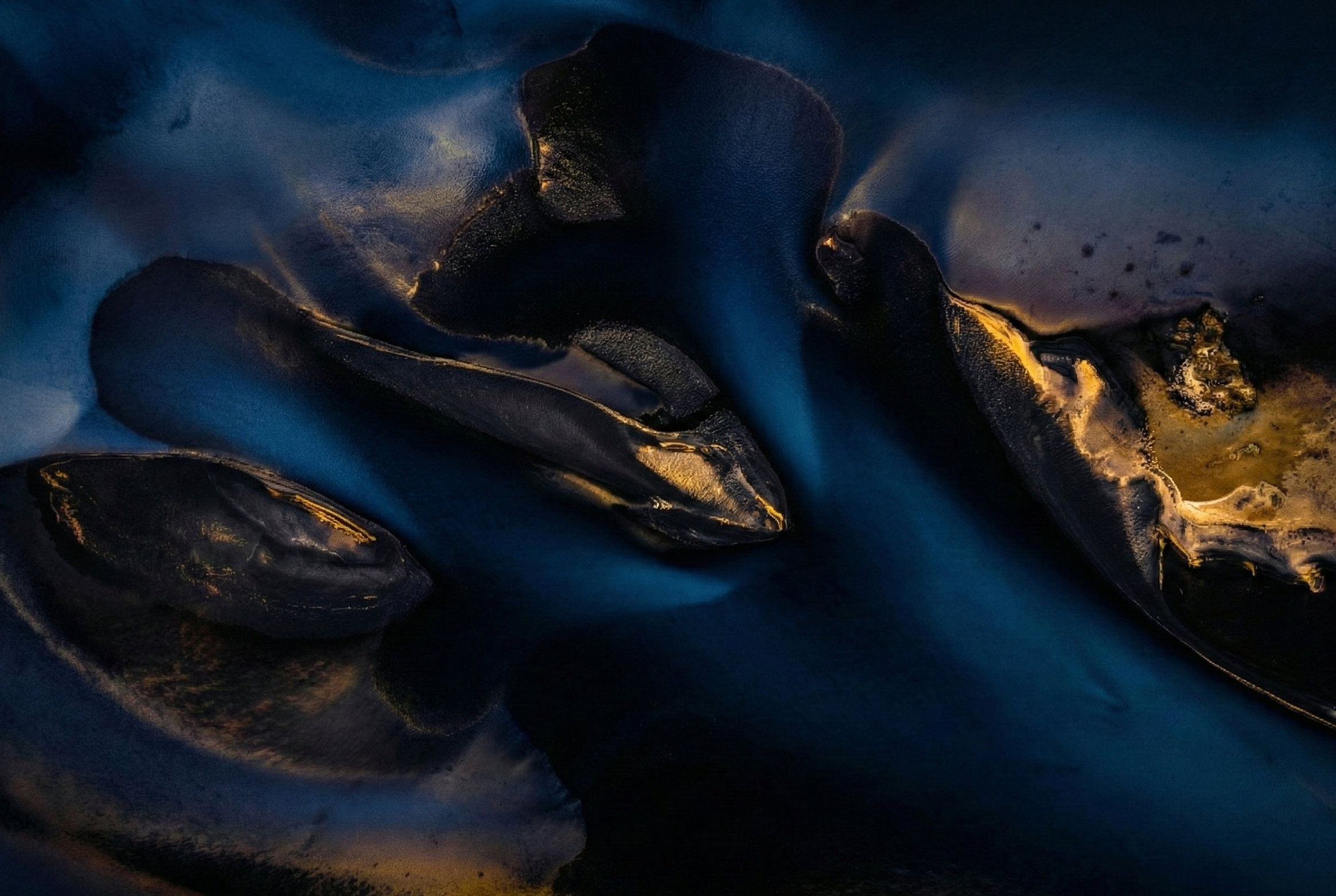 Internal Family Systems: A Compassionate Map of the Mind’s Adaptations