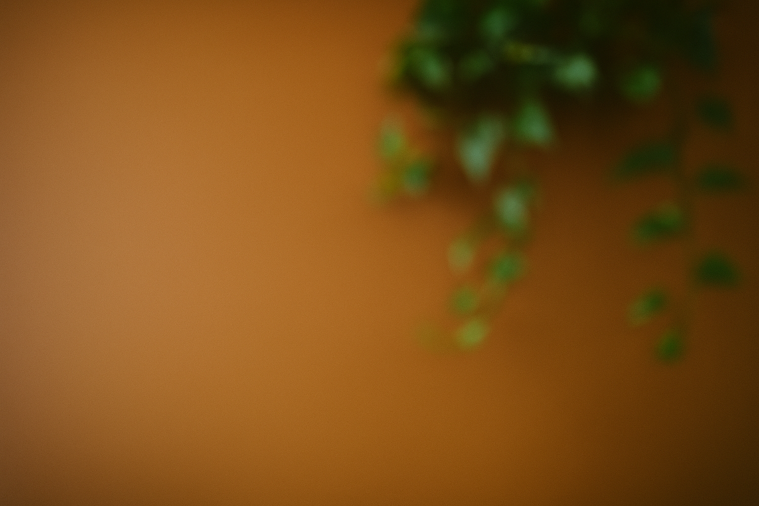 Green plant against a softly blurred warm brown background.