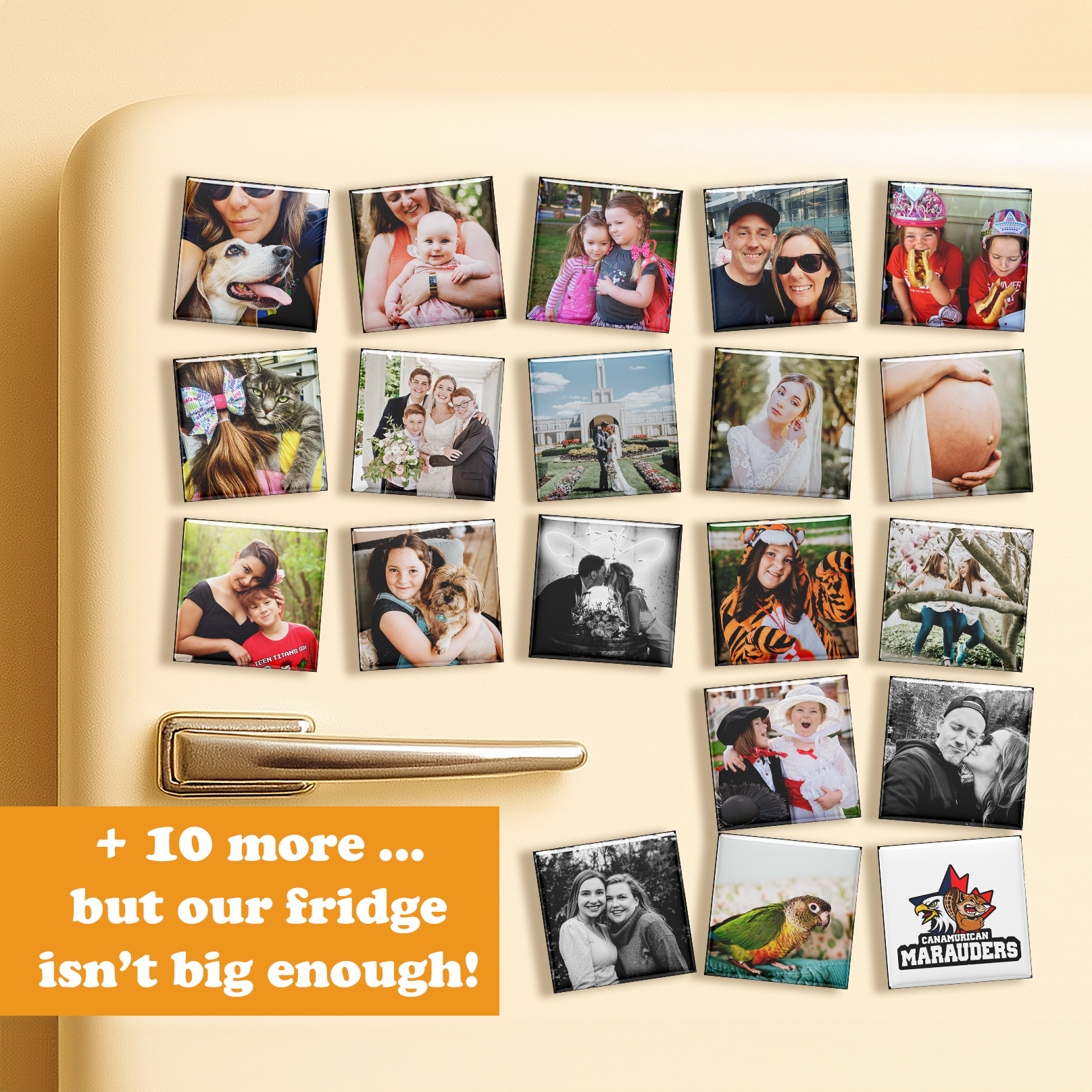 The Memory Dump 30-Pack Custom Photo Magnet Bundle