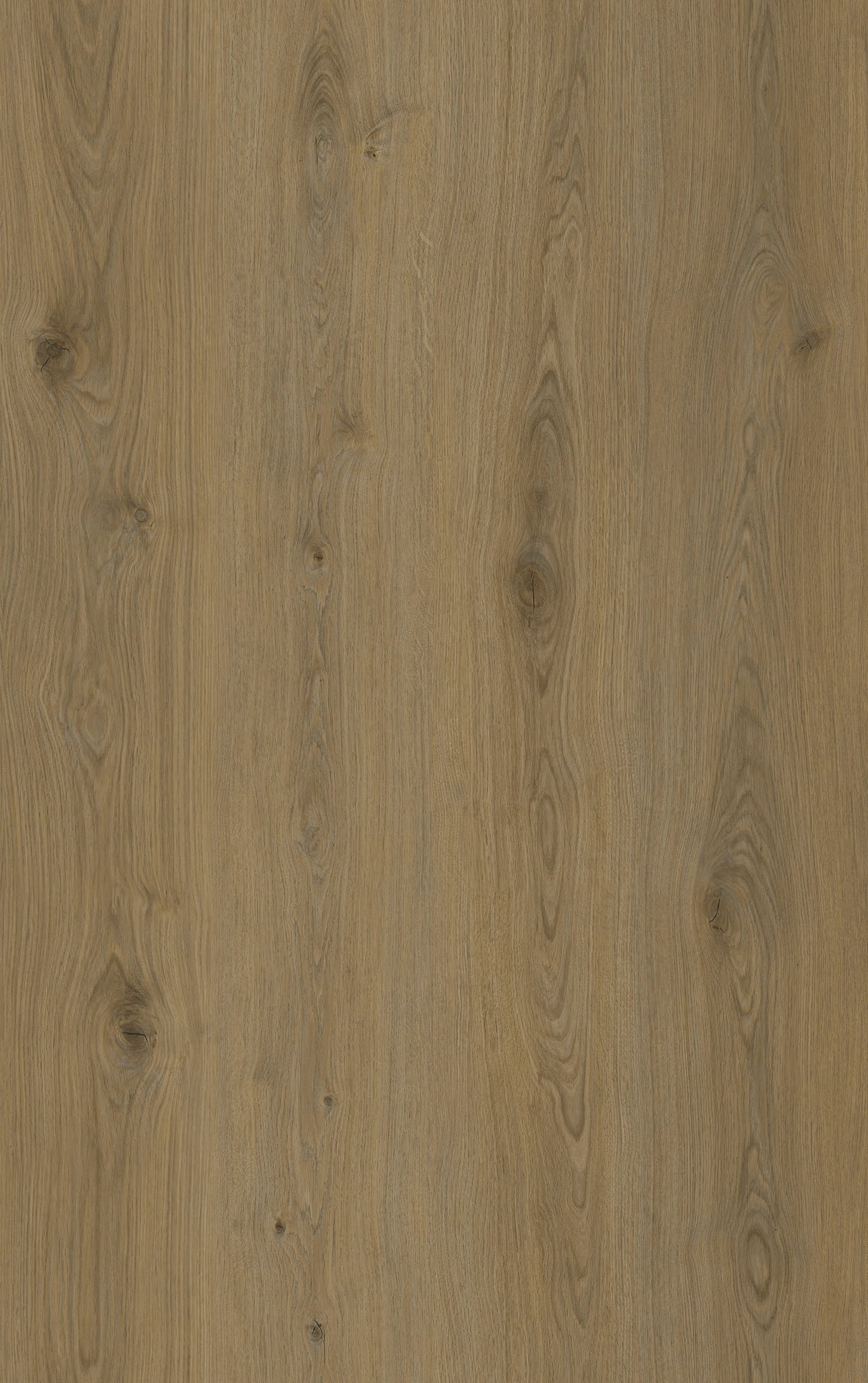Grain Oak