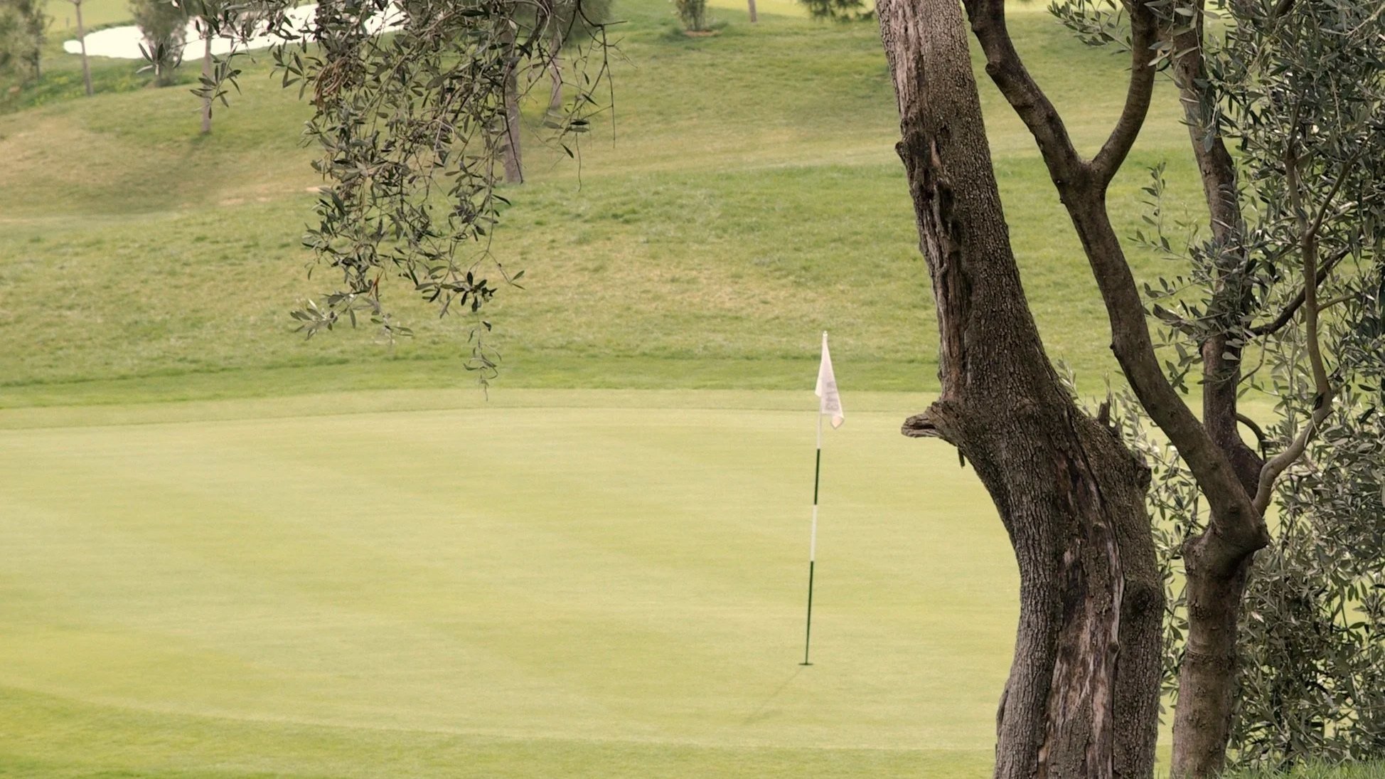 Golf experience in Bodrum, Turkey