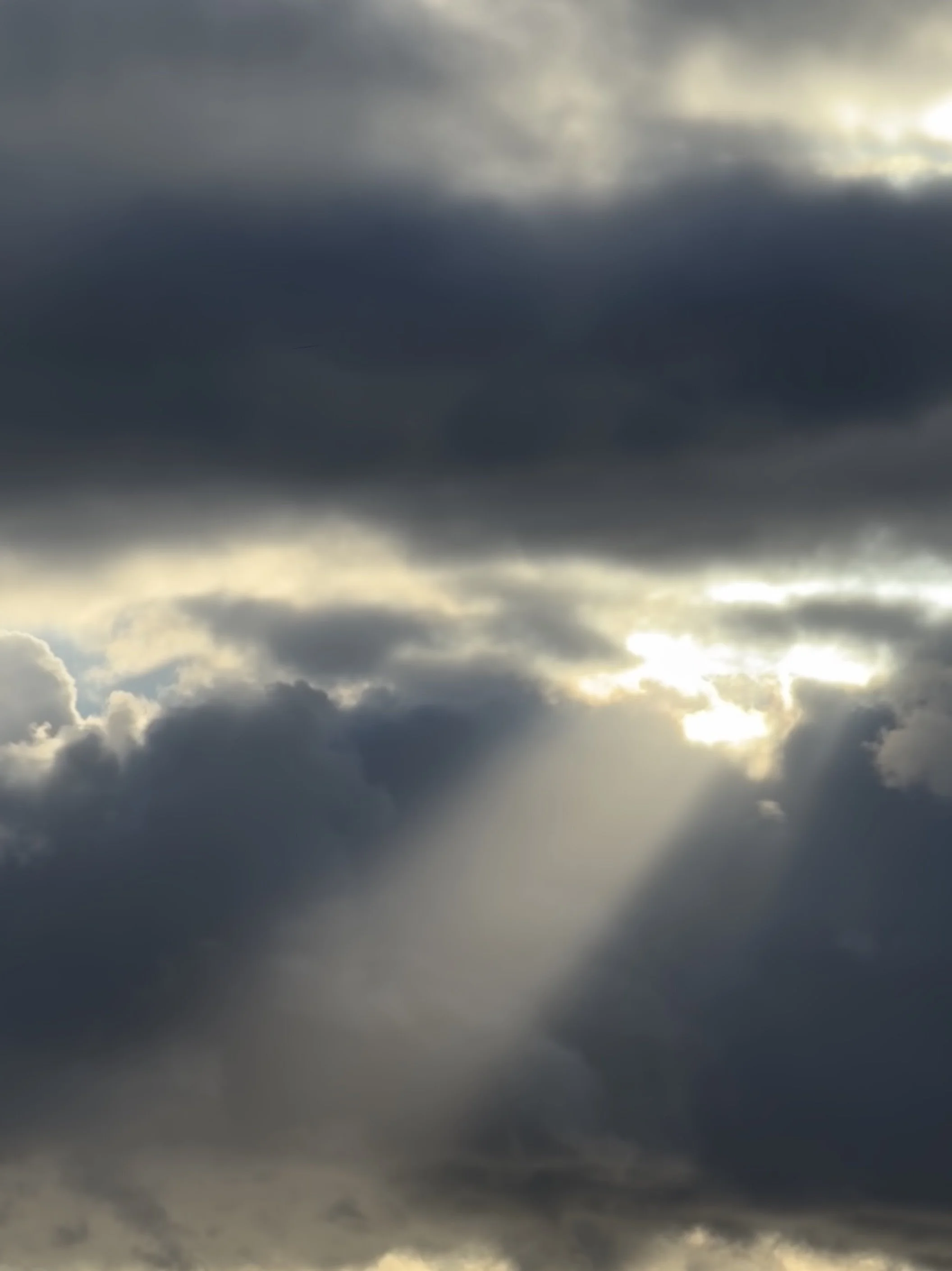 De sensatie van veiligheid