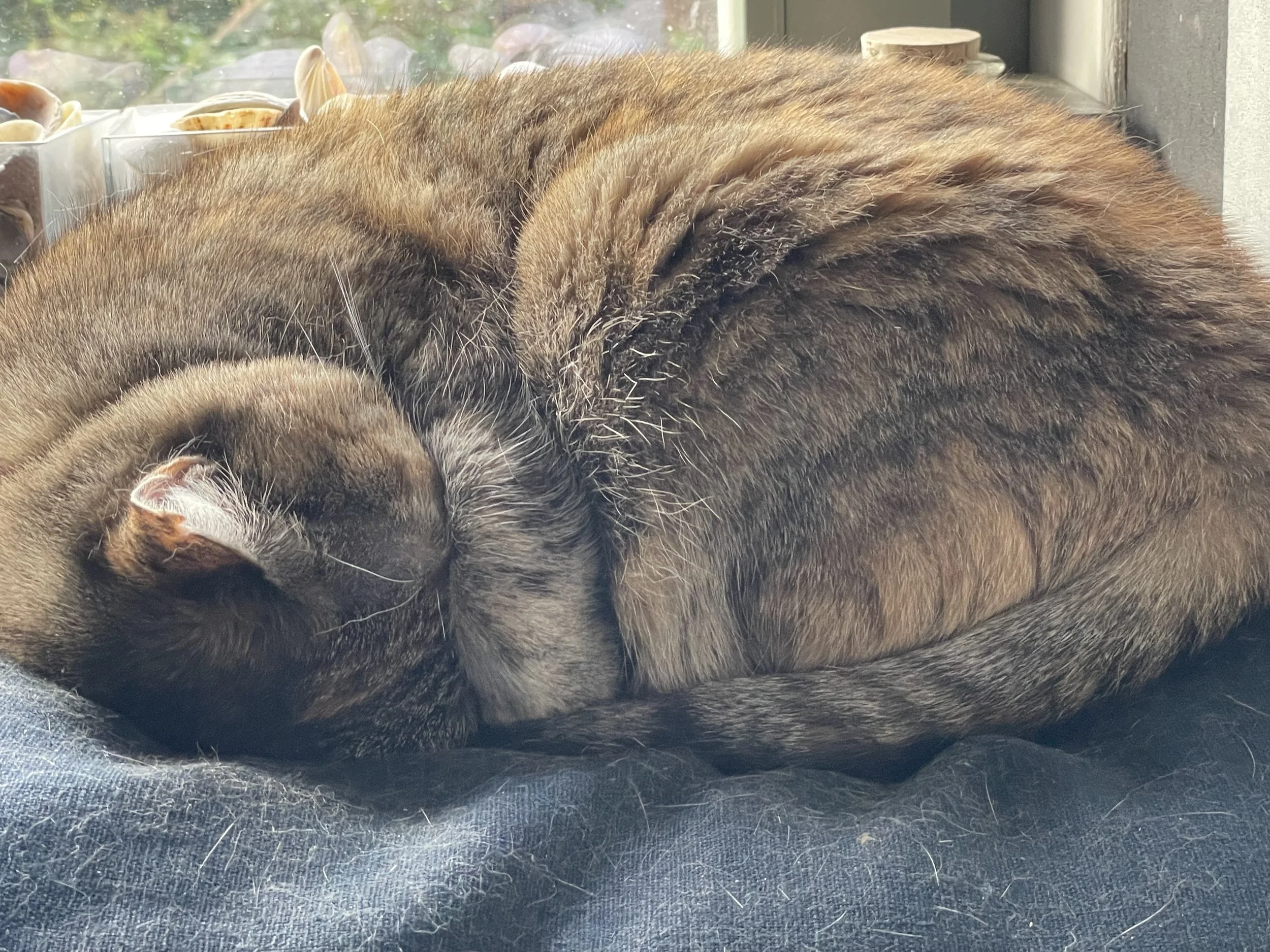 FAFL - een acronym om uit de trauma-loop te blijven