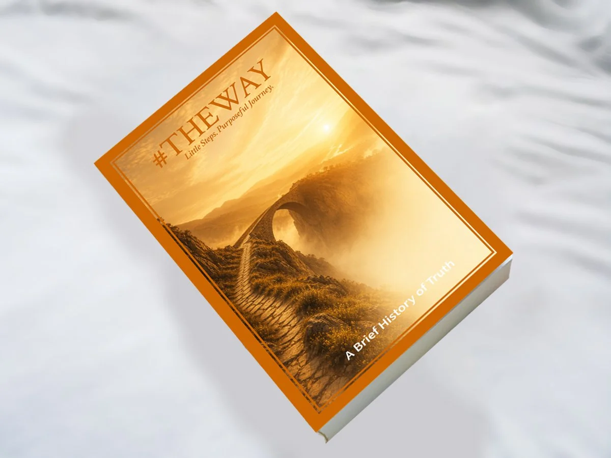 3D image of a softback book.