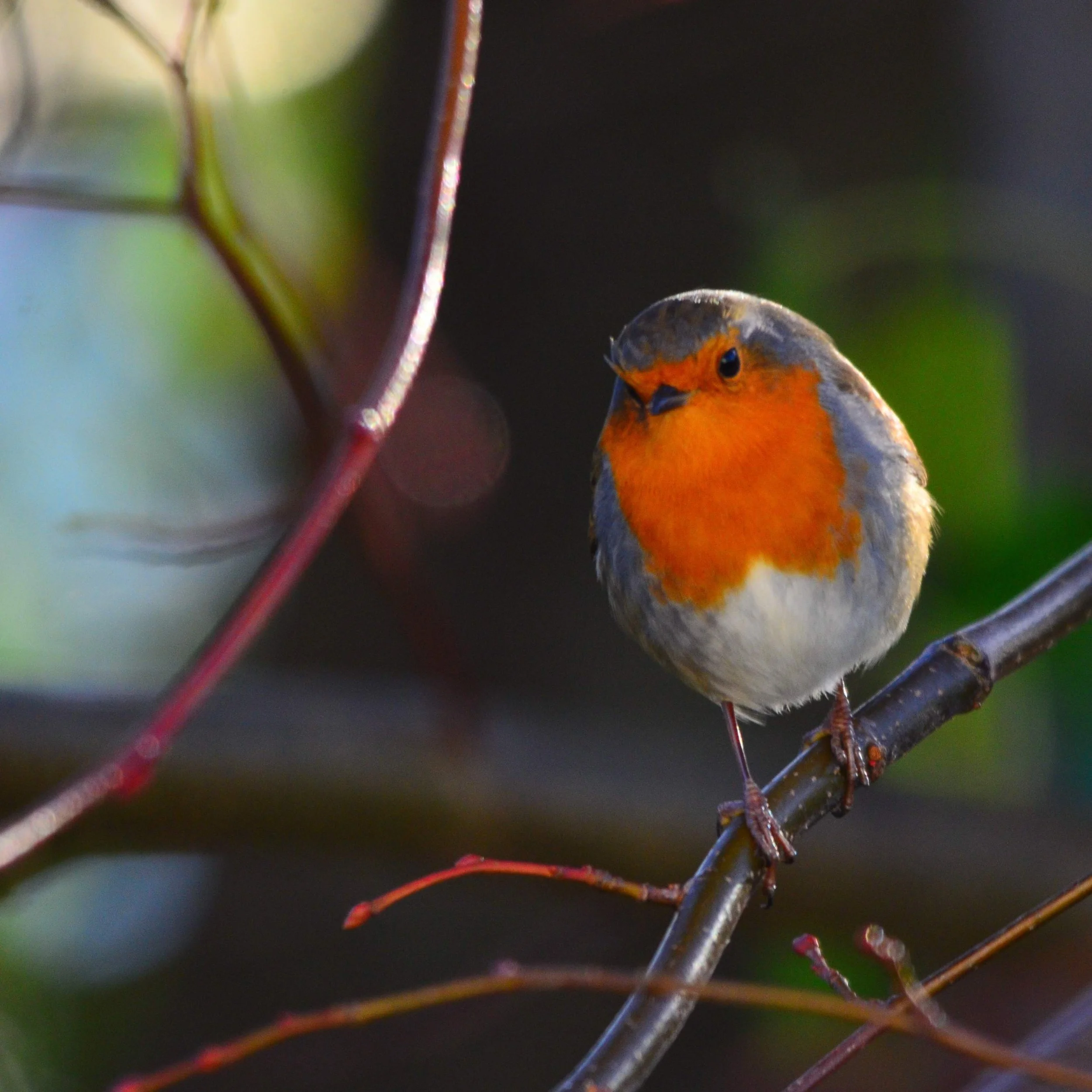 Seeing as I launch this at Christmas time :)