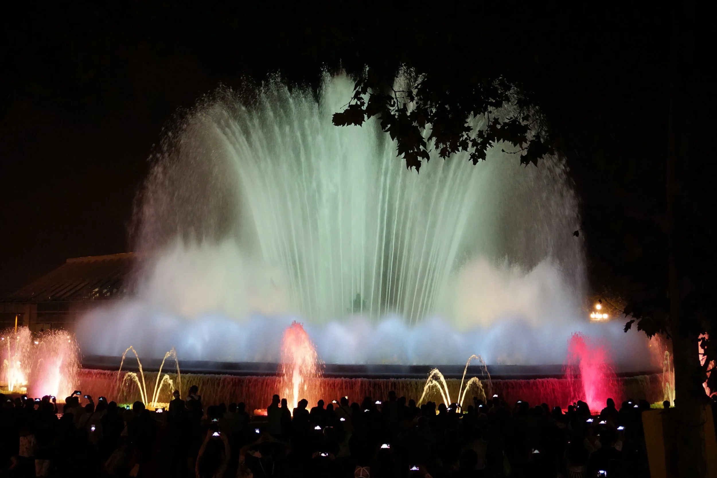 Plays to the Freddie Mercury soundtrack Barcelona opera