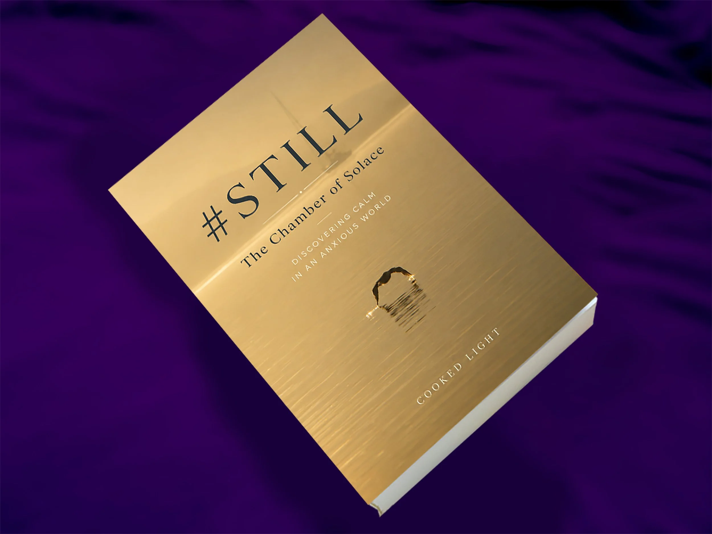 3D image of a softback book.