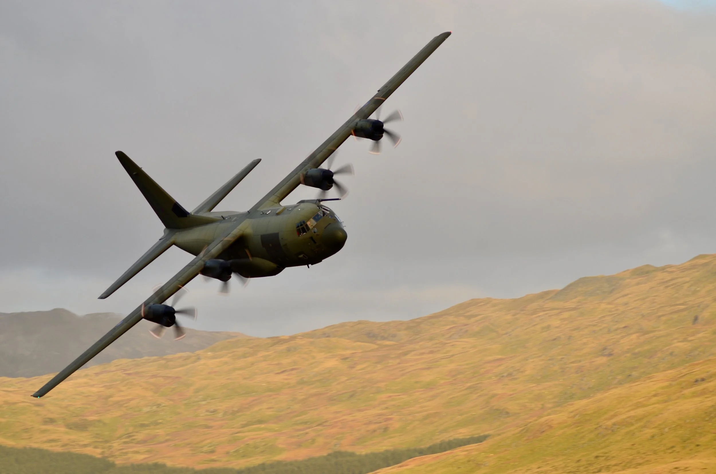 Herky Bird...you think you will have time to track these with a steady pan...nope.