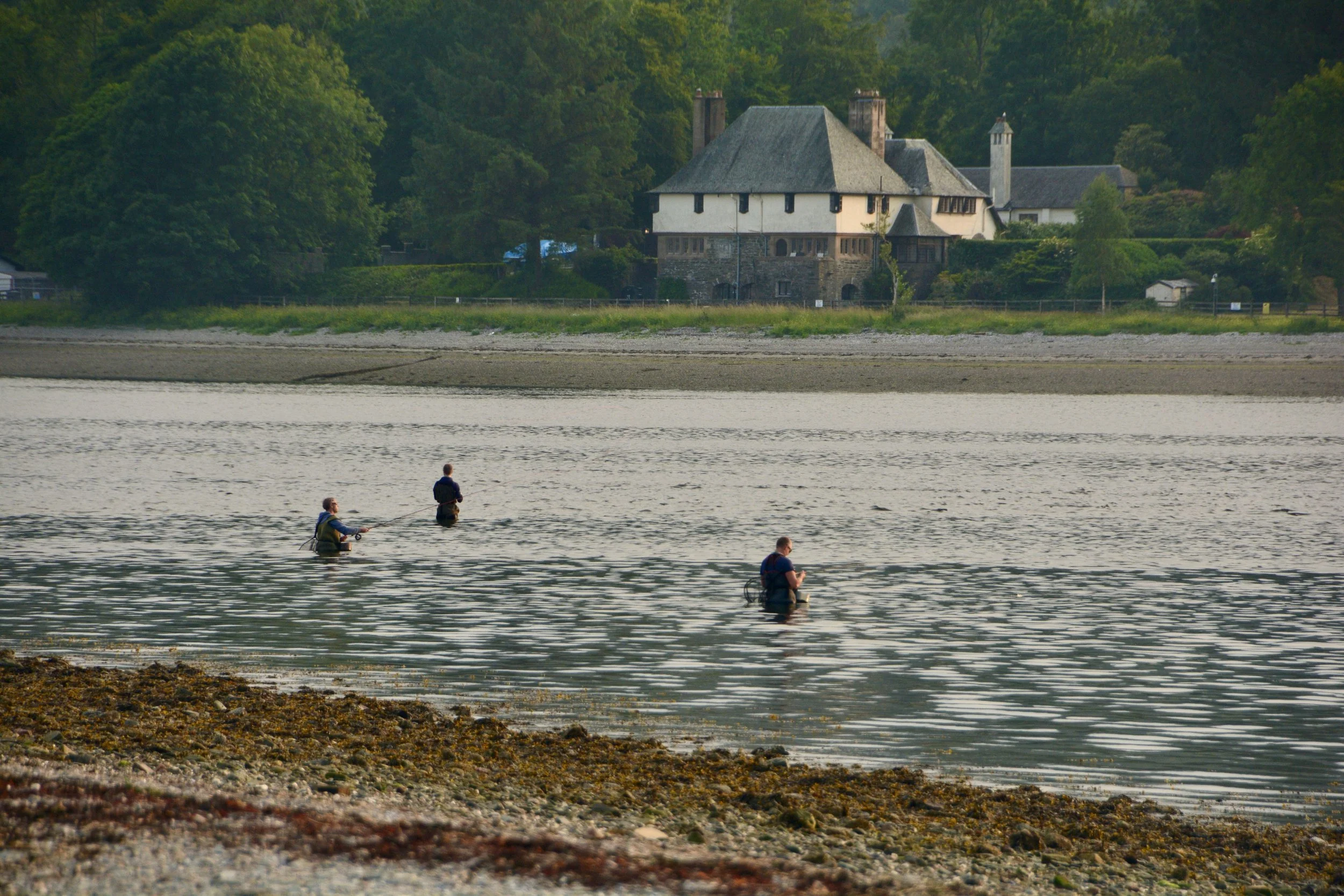 Searching for dinner.