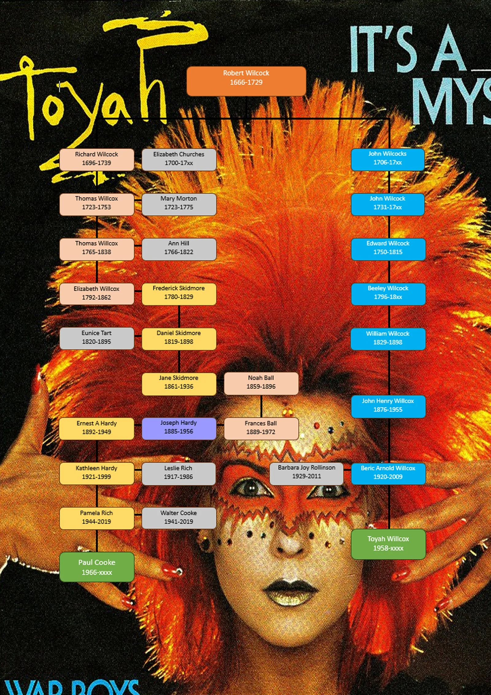 Path to Toyah Willcox