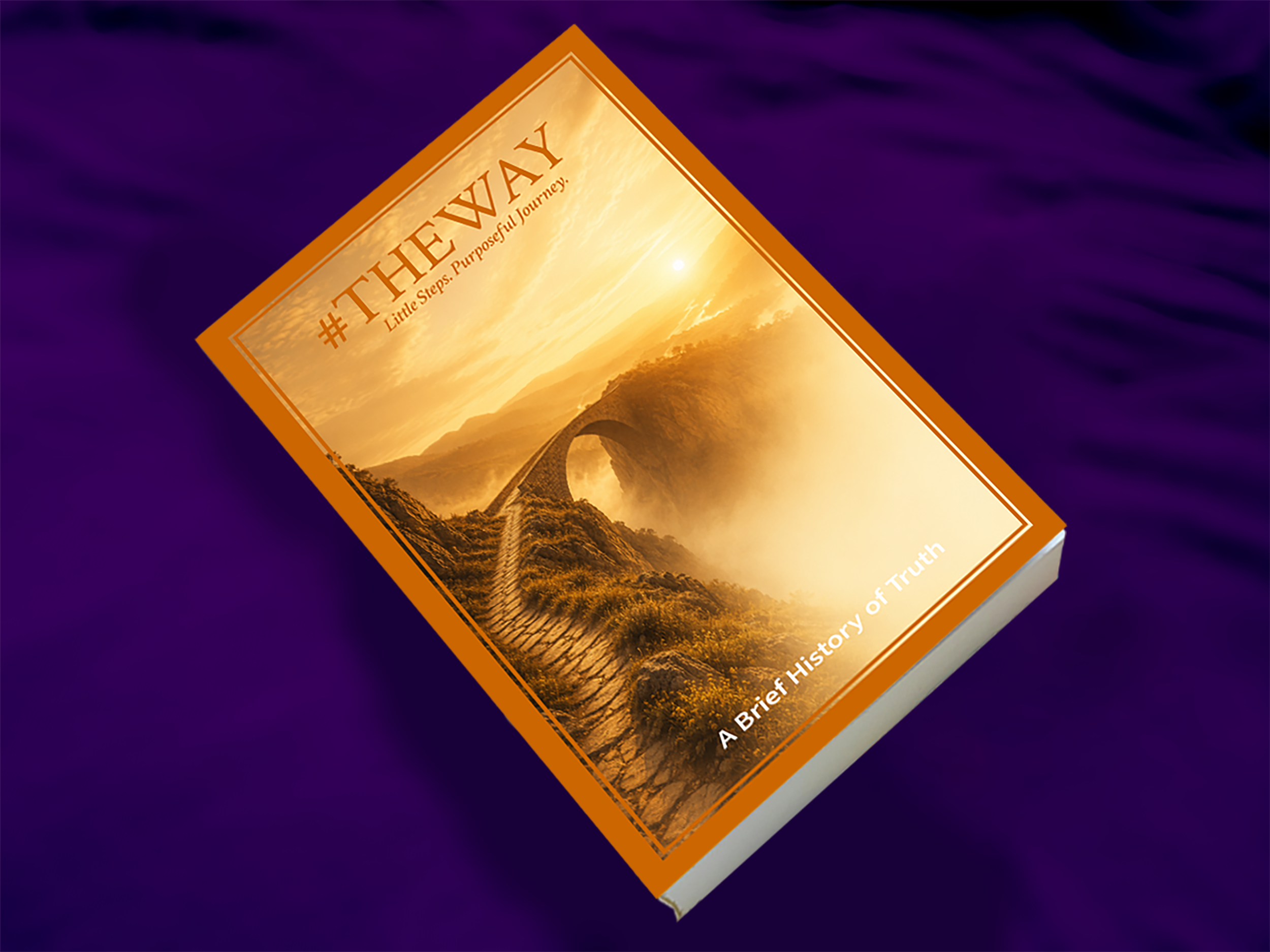 3D image of a softback book.