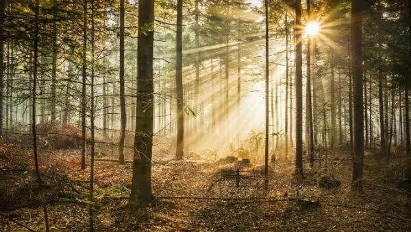 Why Daily Time in God's Word is Essential for Every Believer