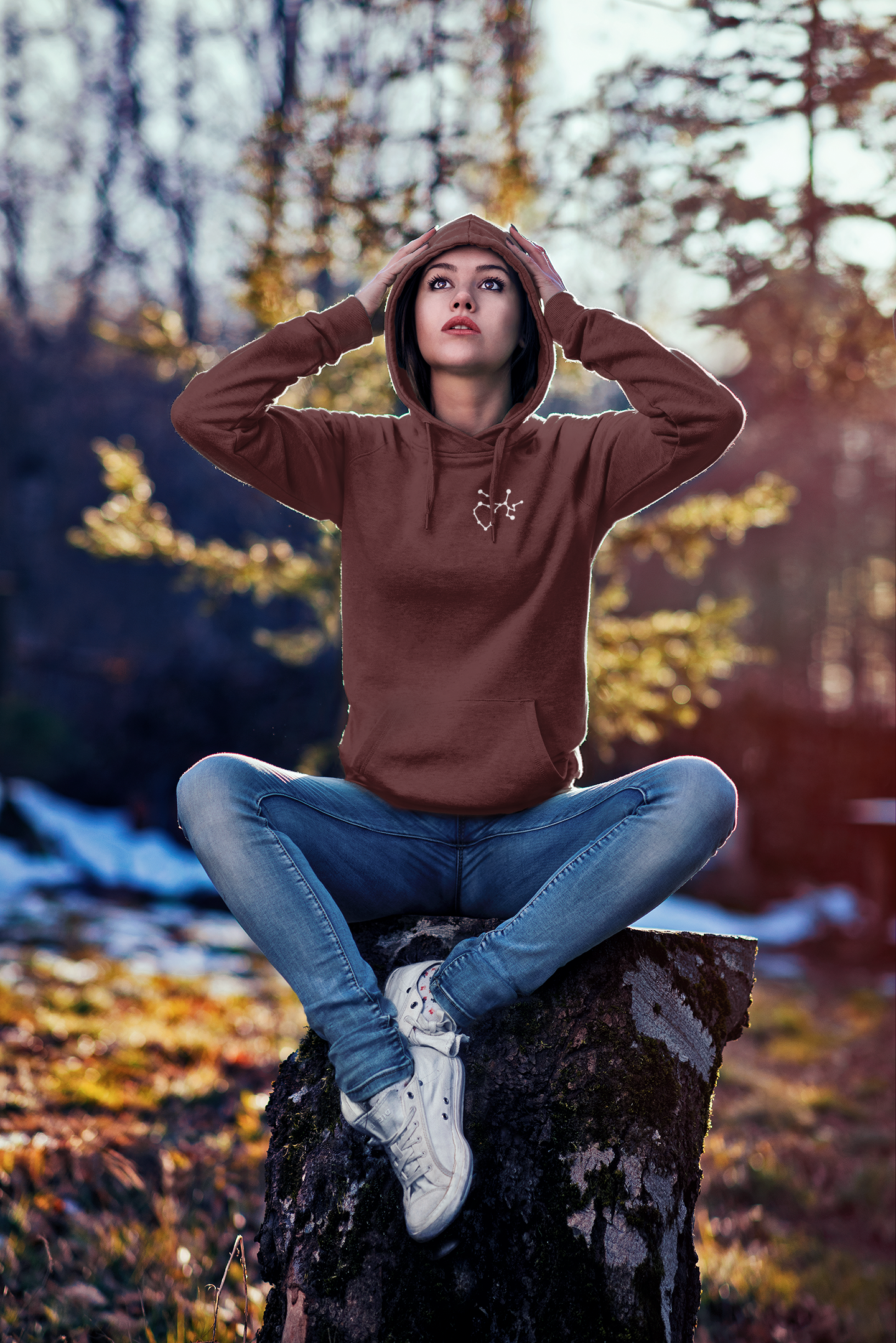 Celestial Unisex Hoodie Sagittarius