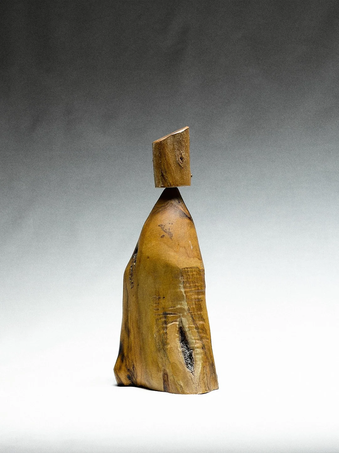 Catalogus zonder titel62510.jpg