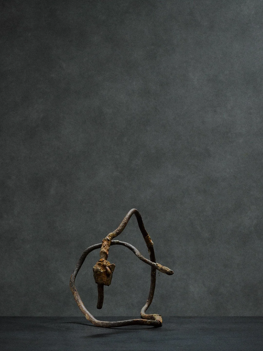 iron serpent sculpture - objet trouvé [€140]