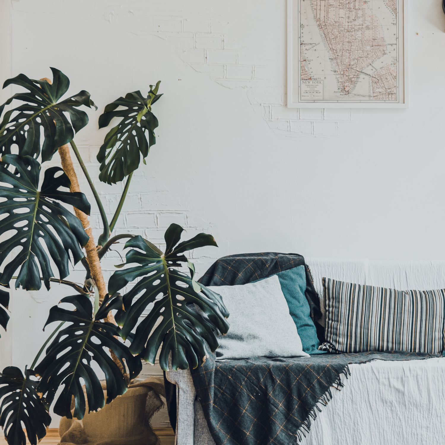 Wohnpsychologie - was ist das?