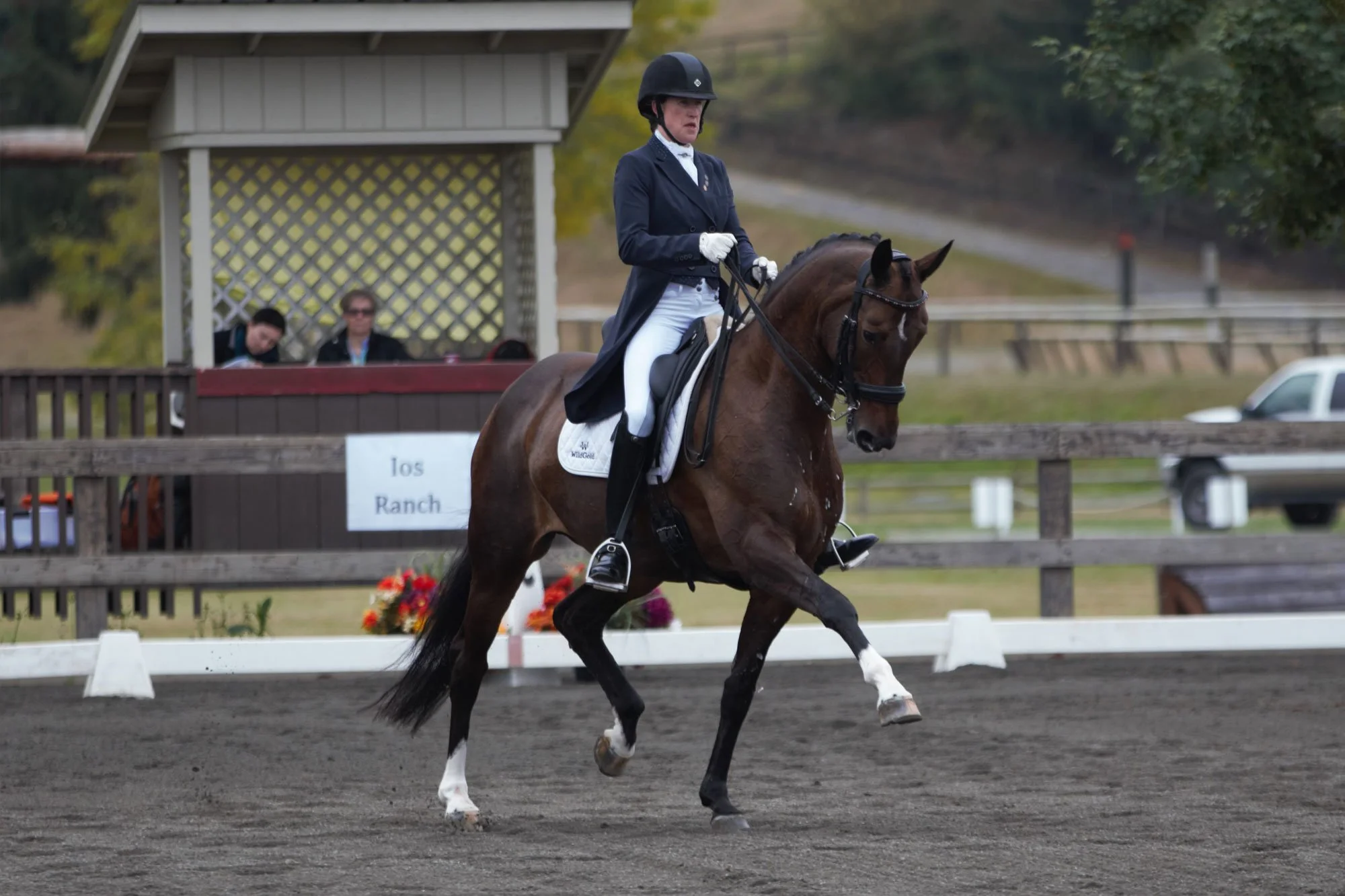 Selestial R, An Avoidable Tragedy