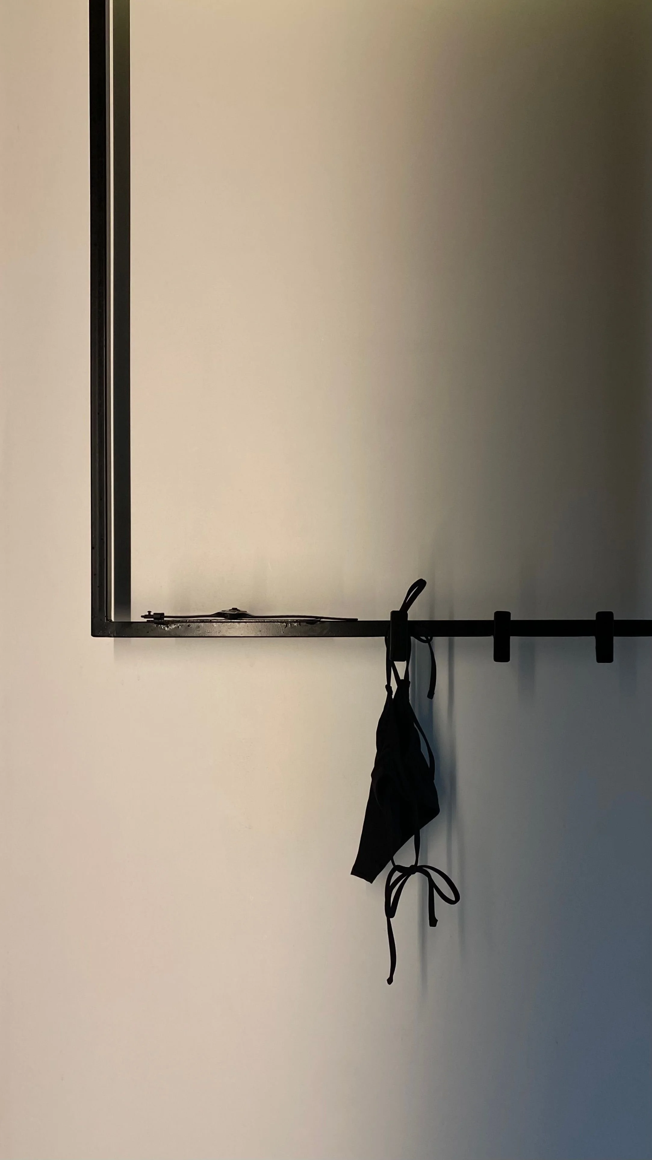 a bikini bottom hangs on a hook outside a finish sauna