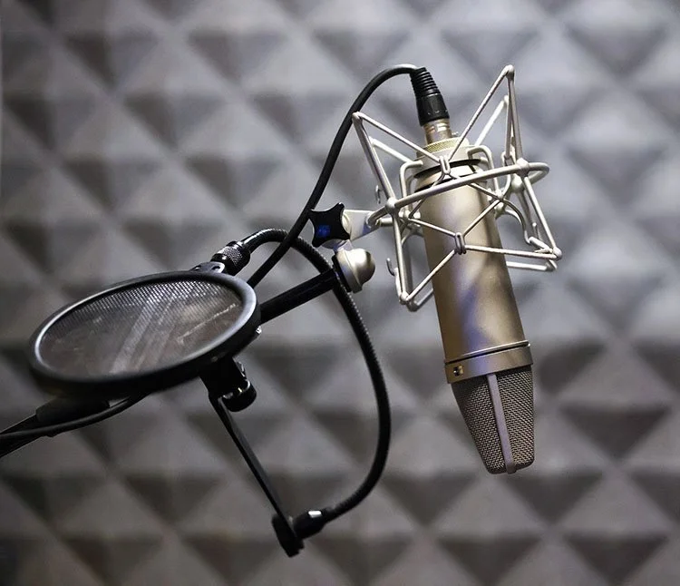 Recording studio microphone with pop filter and shock mount in a soundproof booth.