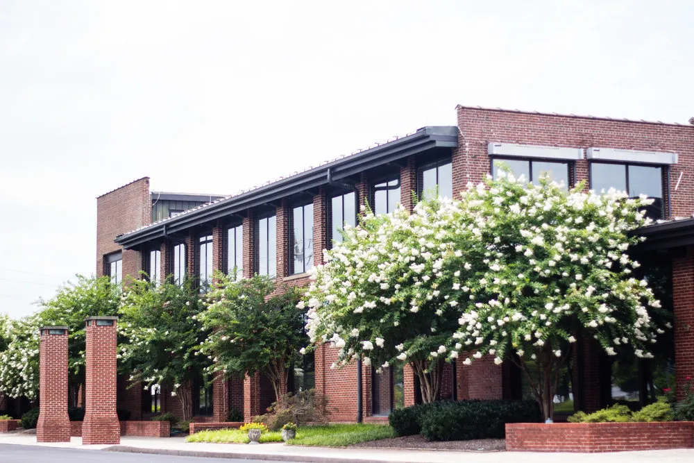 A modern brick building with large windows and white flowering trees in front.