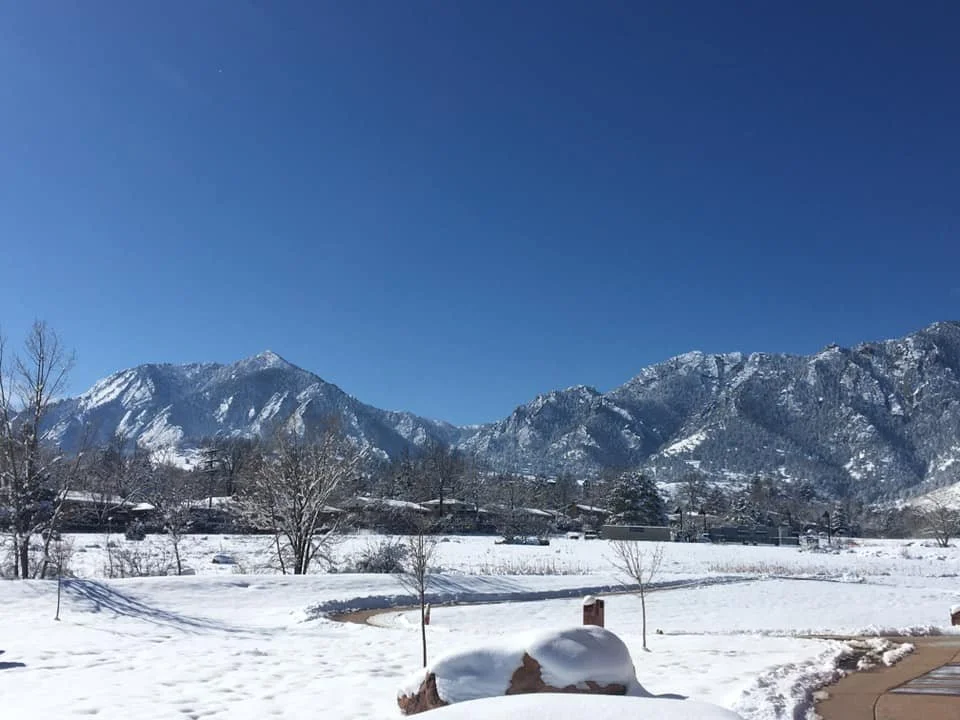 Snow-covered park with trees and mountains under a clear blue sky.