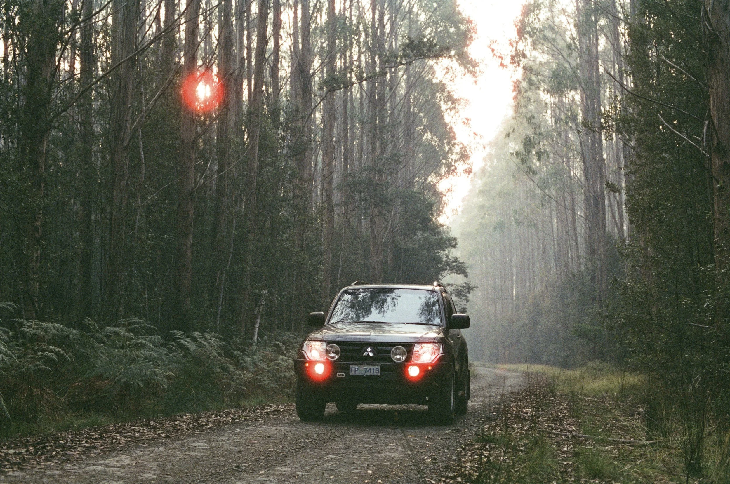 Roamer - 2026 Cinestill 400