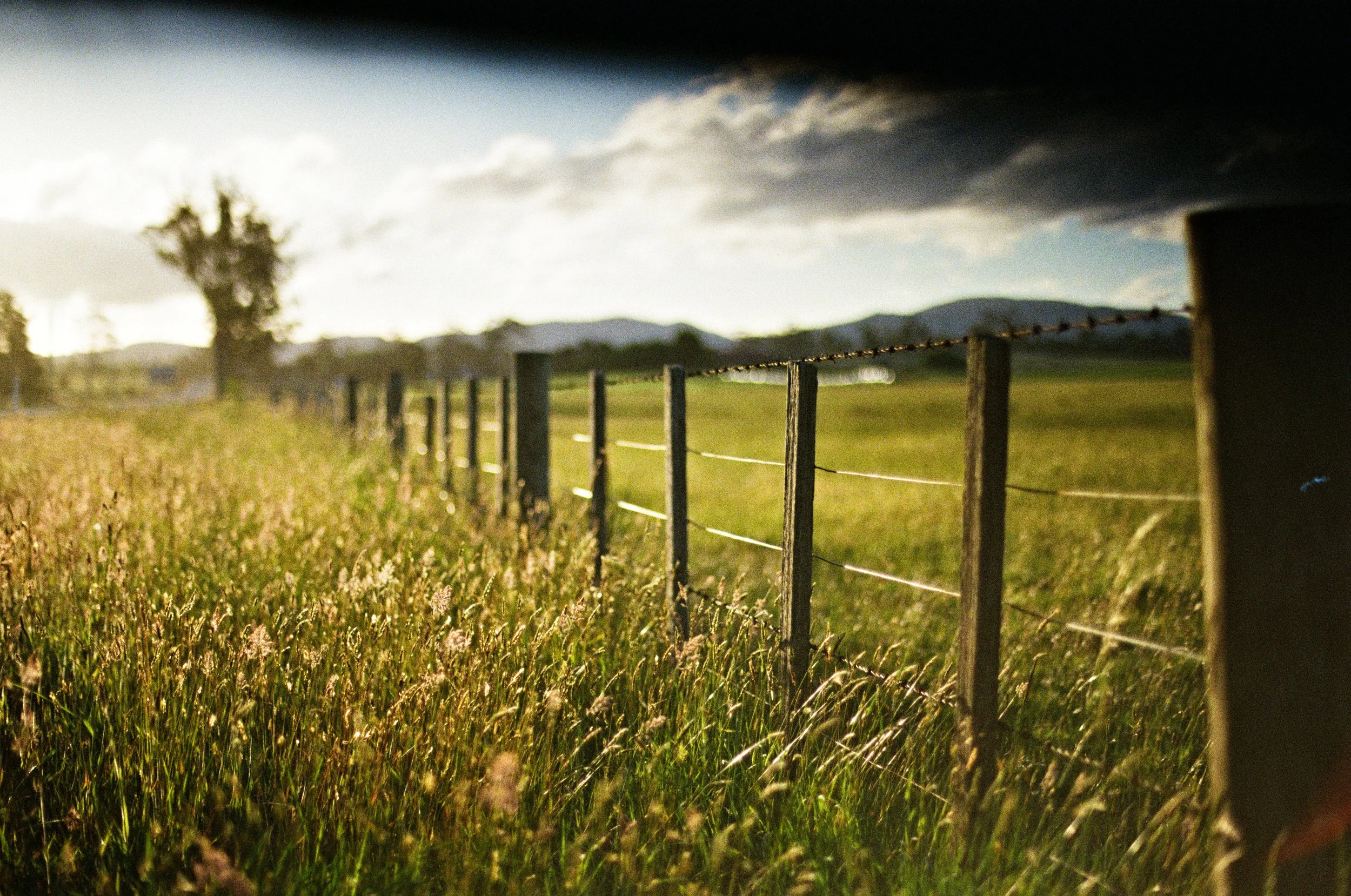 Frankford Highway - Edit-1-1.jpg