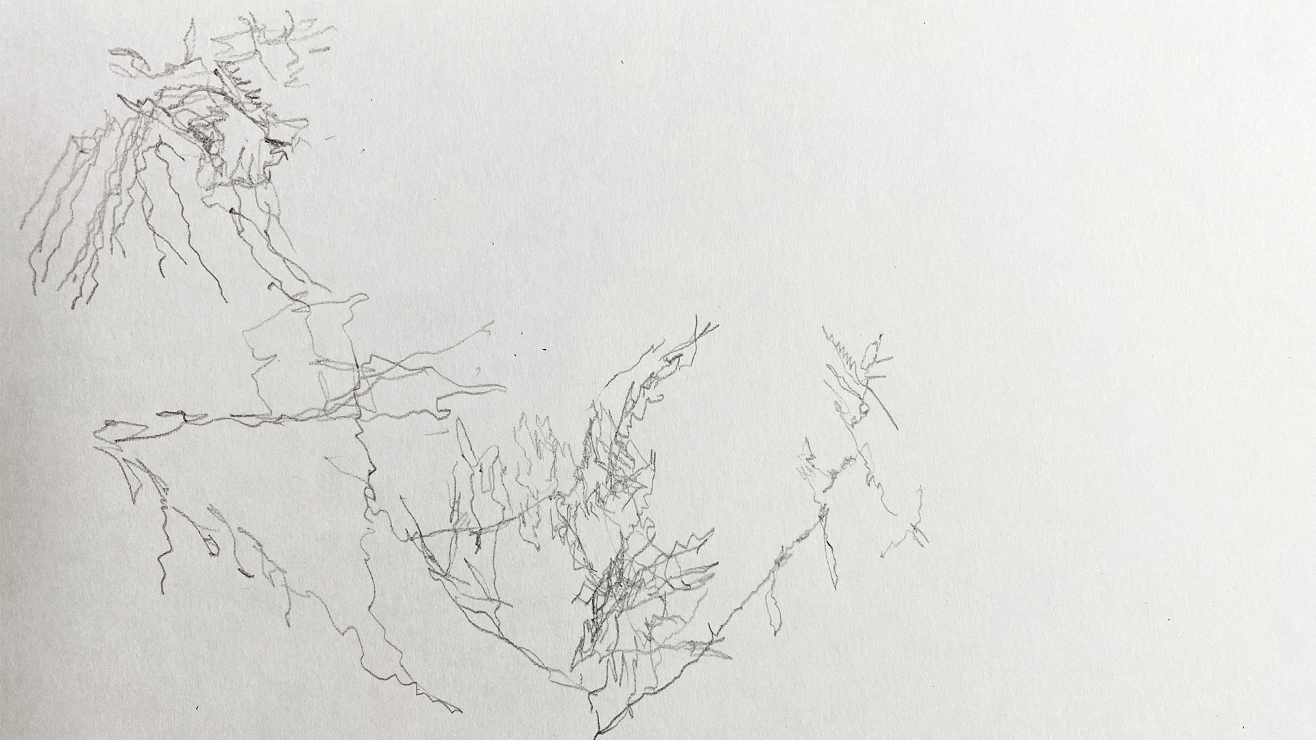 白い紙に鉛筆で書かれた抽象的な線画。上部左側に複雑な絡み合った線があり、下部にかけて少し整った形になっている。