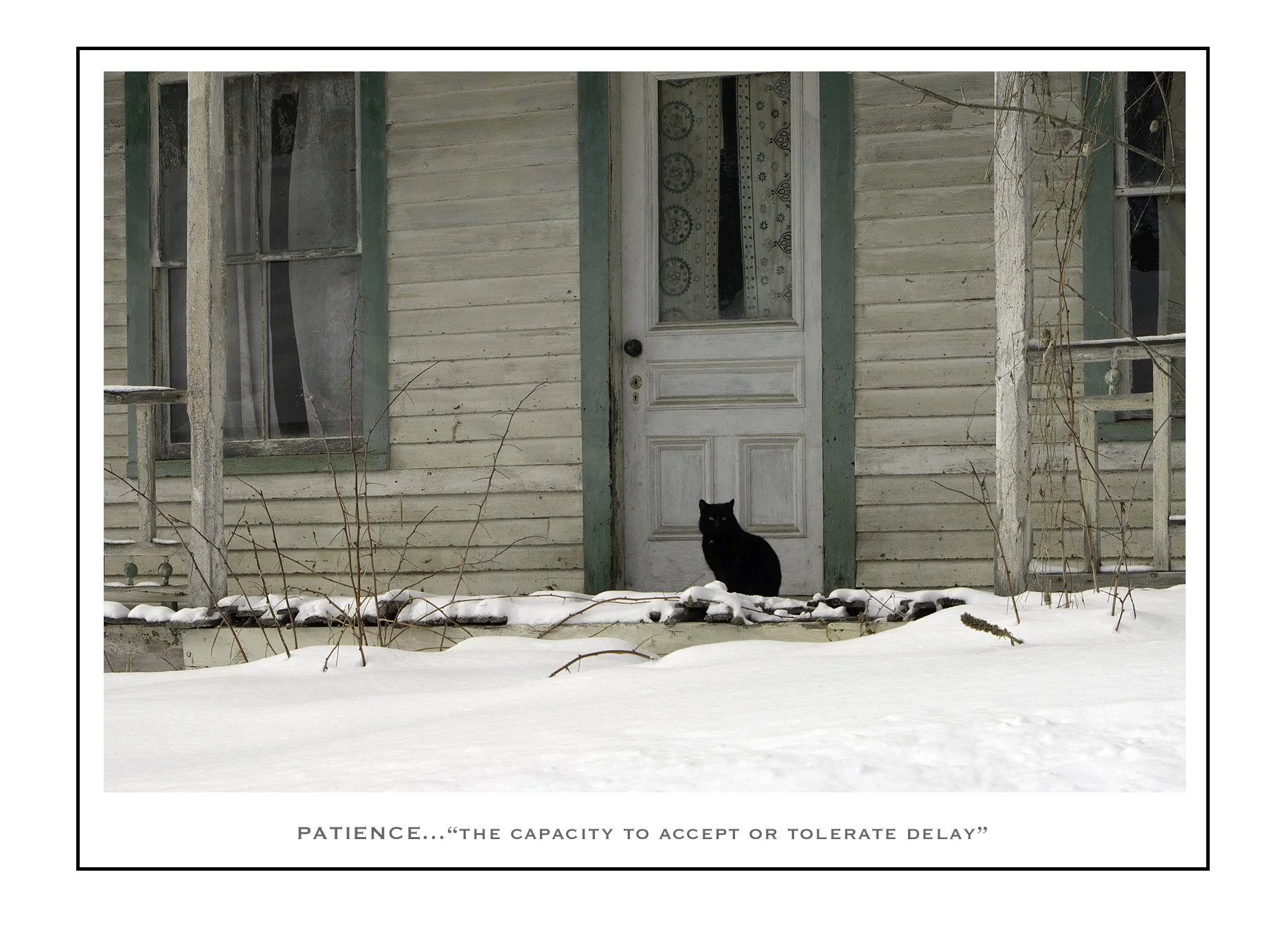 Patience.jpg