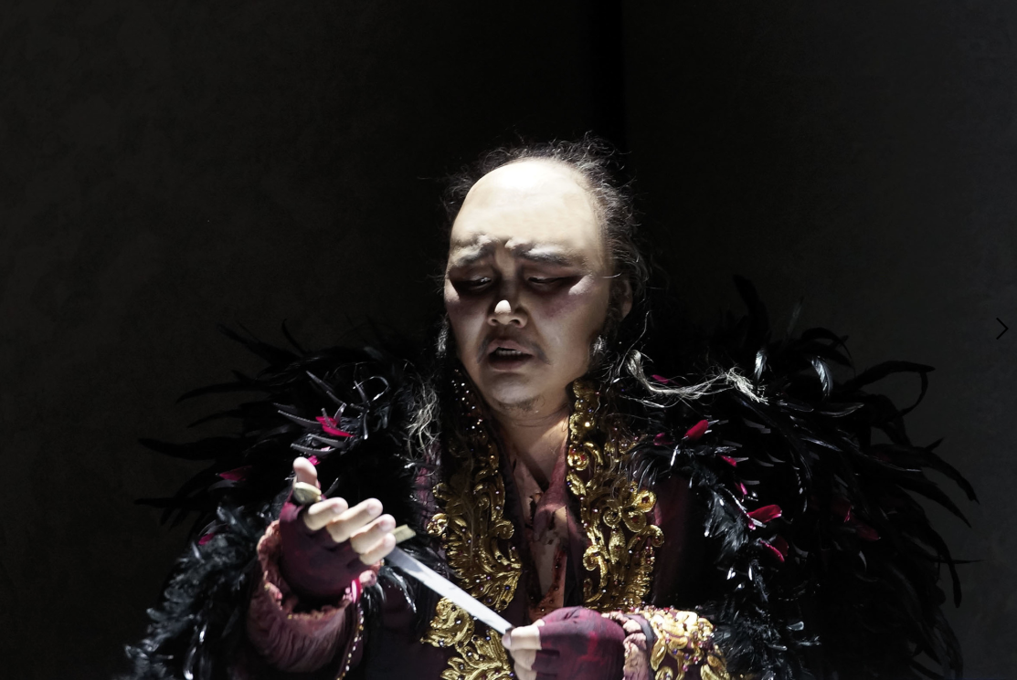 "Rigoletto"
Kiel Opera, 2016
Director: Fabio Ceresa
Costumes: Giuseppe Palella
Set: Domenico Franchi
Photo: Olaf Struck
