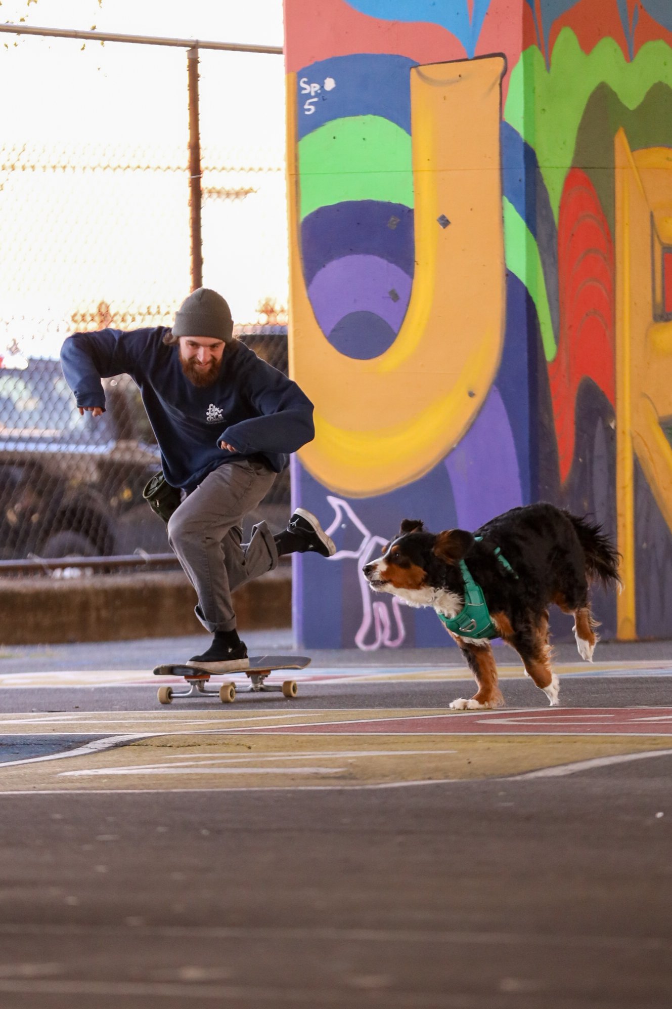 A man skateboarding with a dog in a dog harness near a colorful graffiti wall.