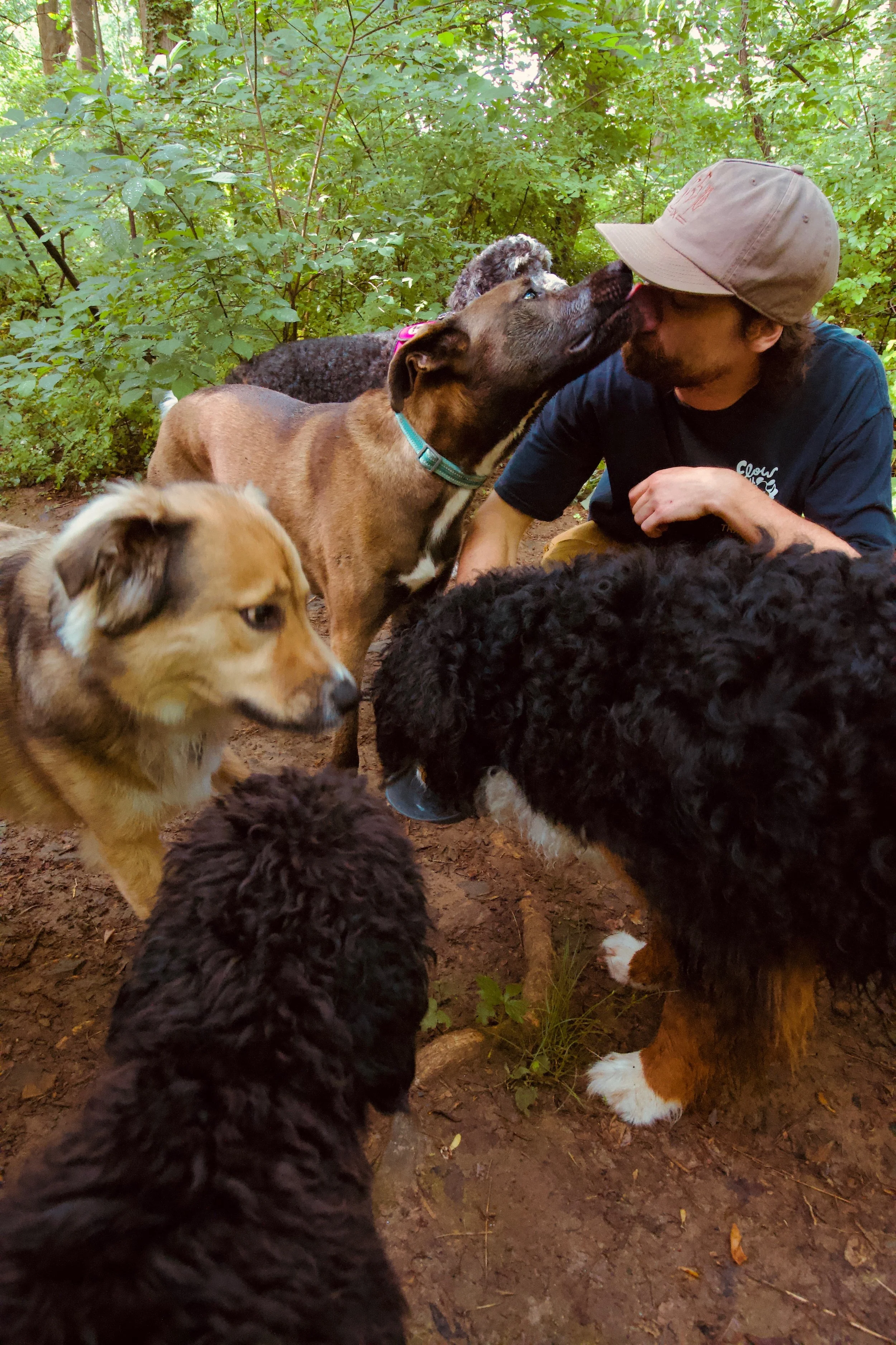Pack Hike