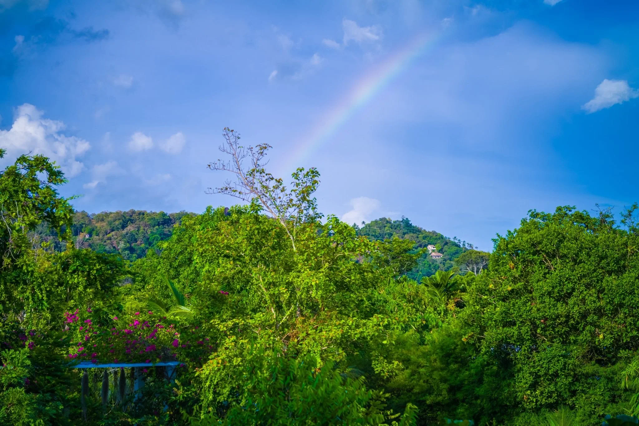 Cleansing retreat filled with light and blessings