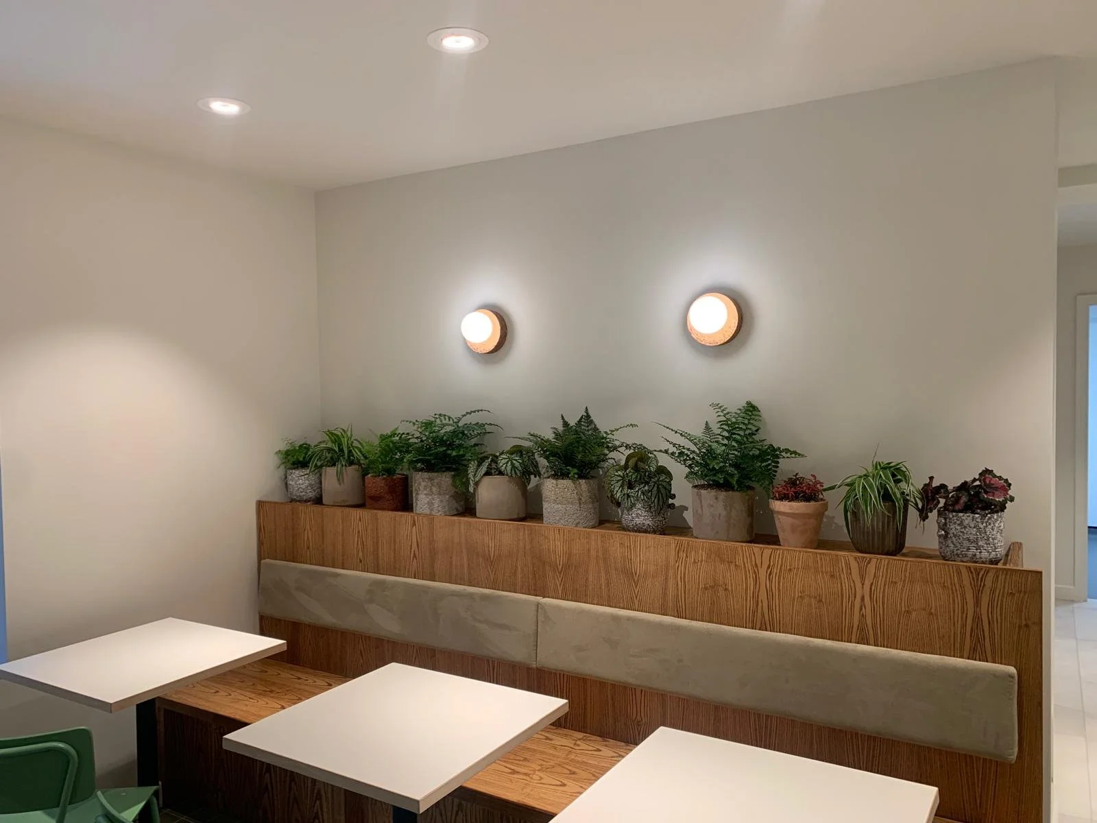 Interior of a dining area with white walls, wall-mounted lights, a wooden bench with beige cushions, and a display of various potted green plants on a wooden ledge.