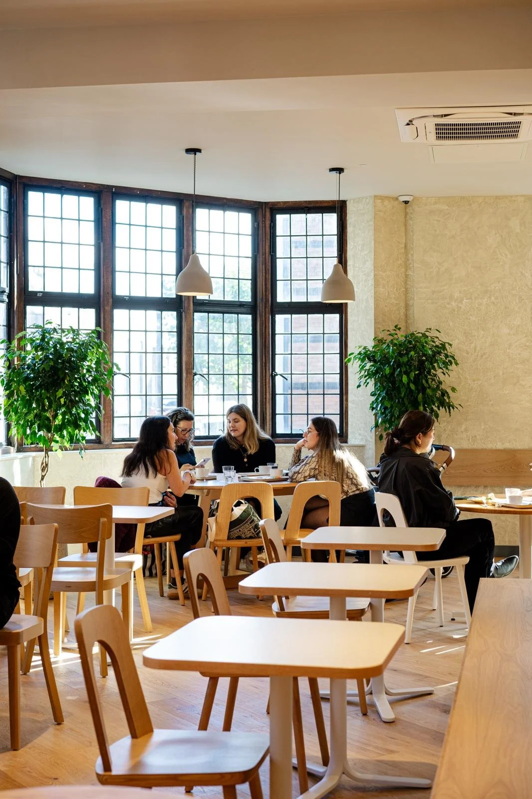 PHOTO-2024-11-05-14-08-38 (5).jpg