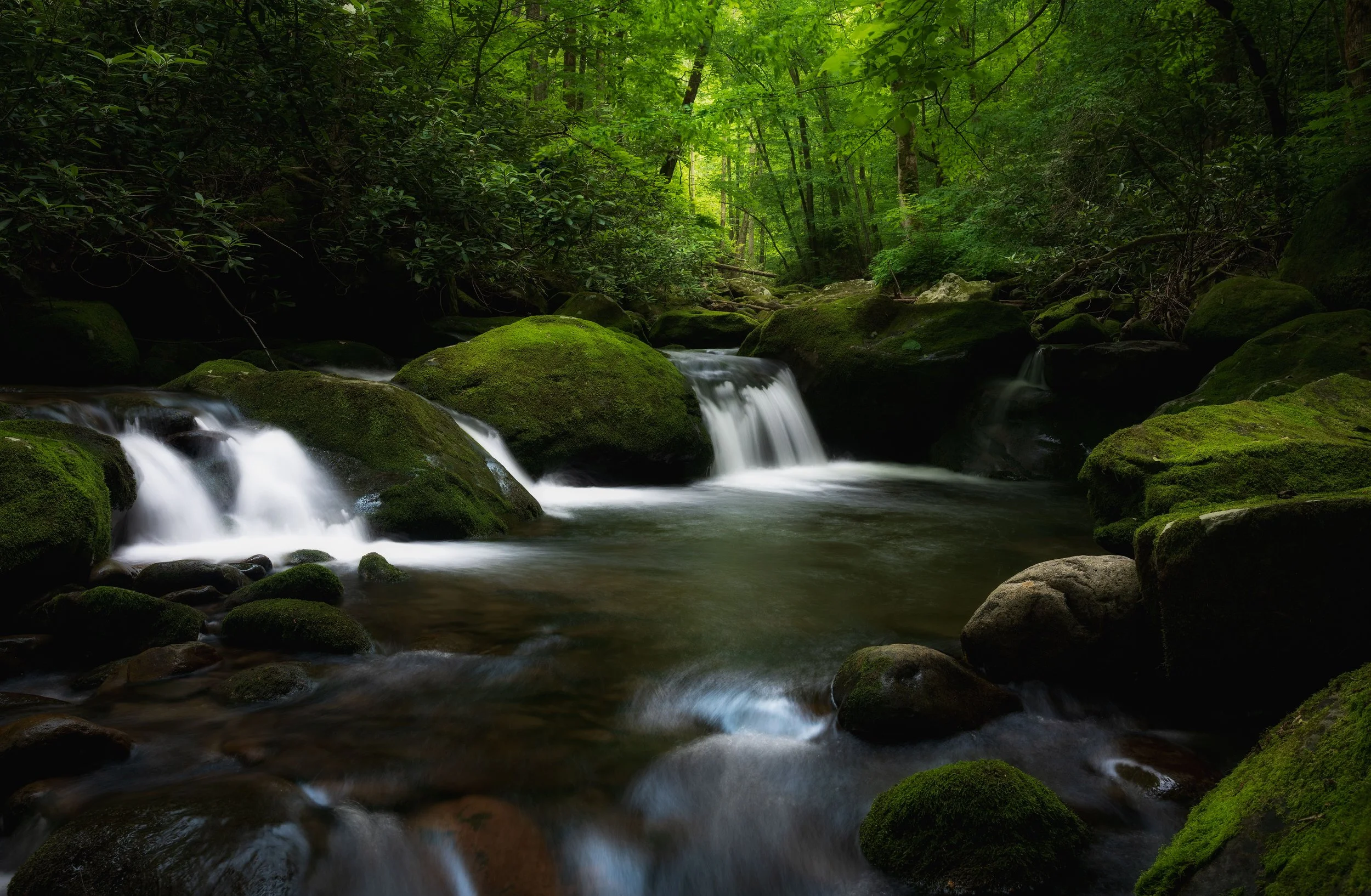 A peaceful forest scene with a small cascading waterfall flowing over moss-covered rocks into a gentle stream, surrounded by lush green trees and foliage.