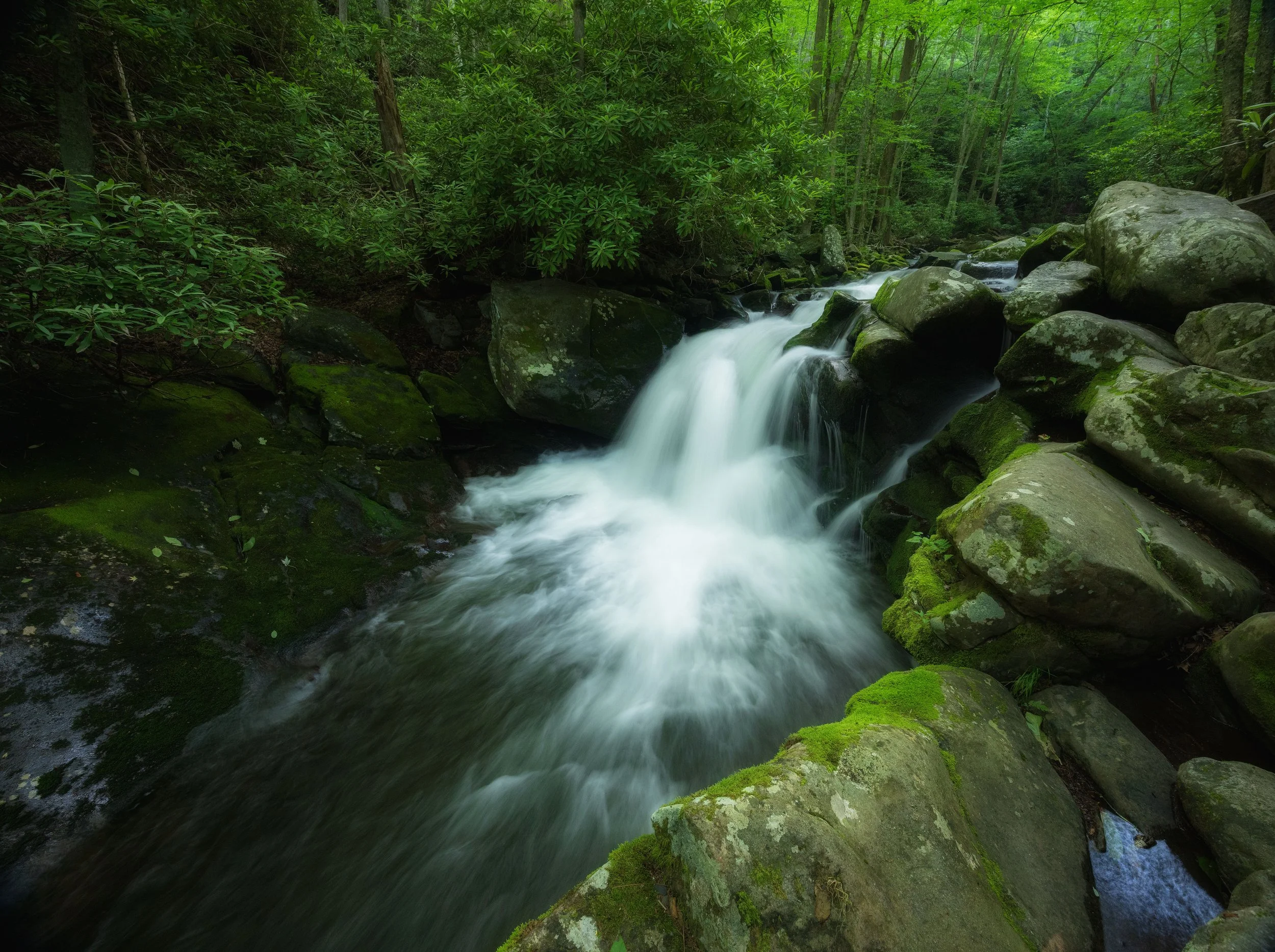 A small waterfall flowing over rocks in a green forest with trees and moss.