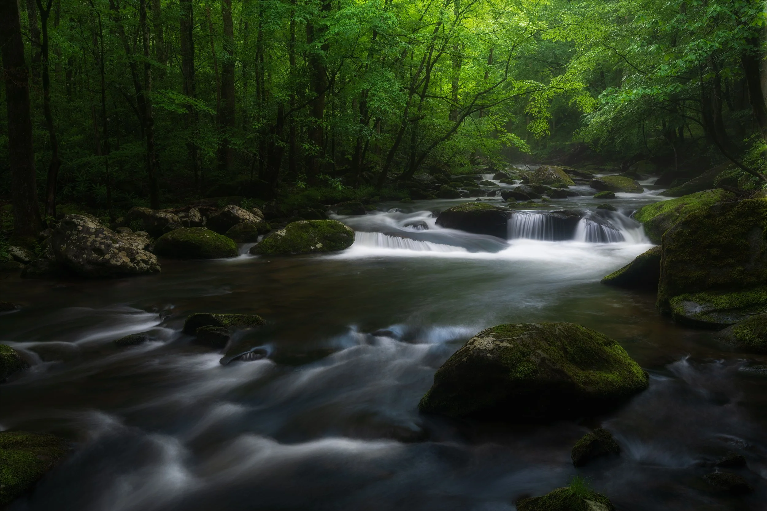 A peaceful forest stream with moss-covered rocks and small waterfalls, surrounded by dense green trees.