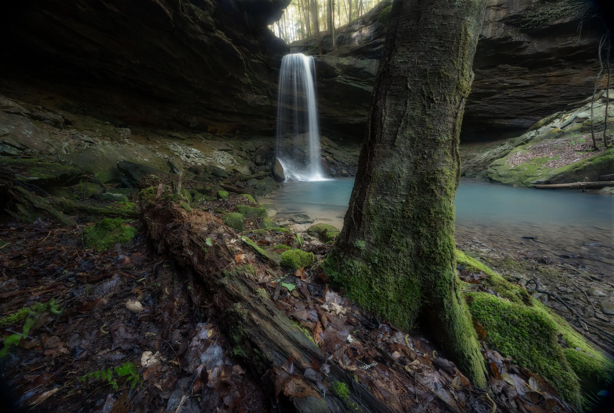A peaceful waterfall flowing into a small pool surrounded by moss-covered rocks and trees in a shaded forest.
