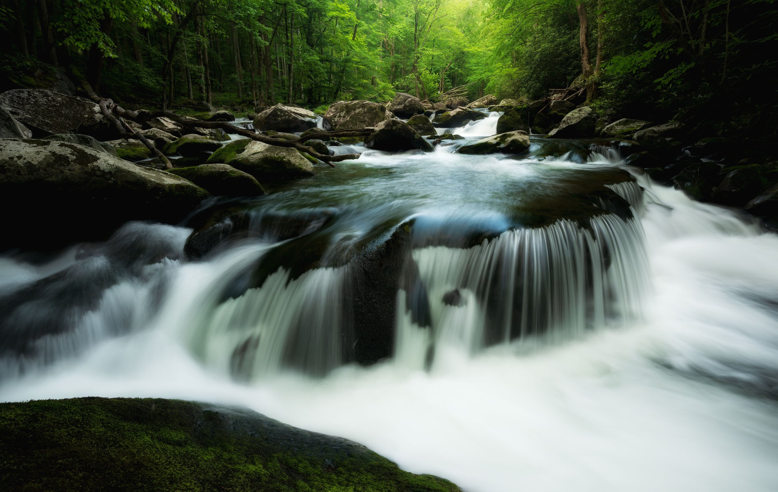 A flowing waterfall in a lush green forest with rocks and trees.