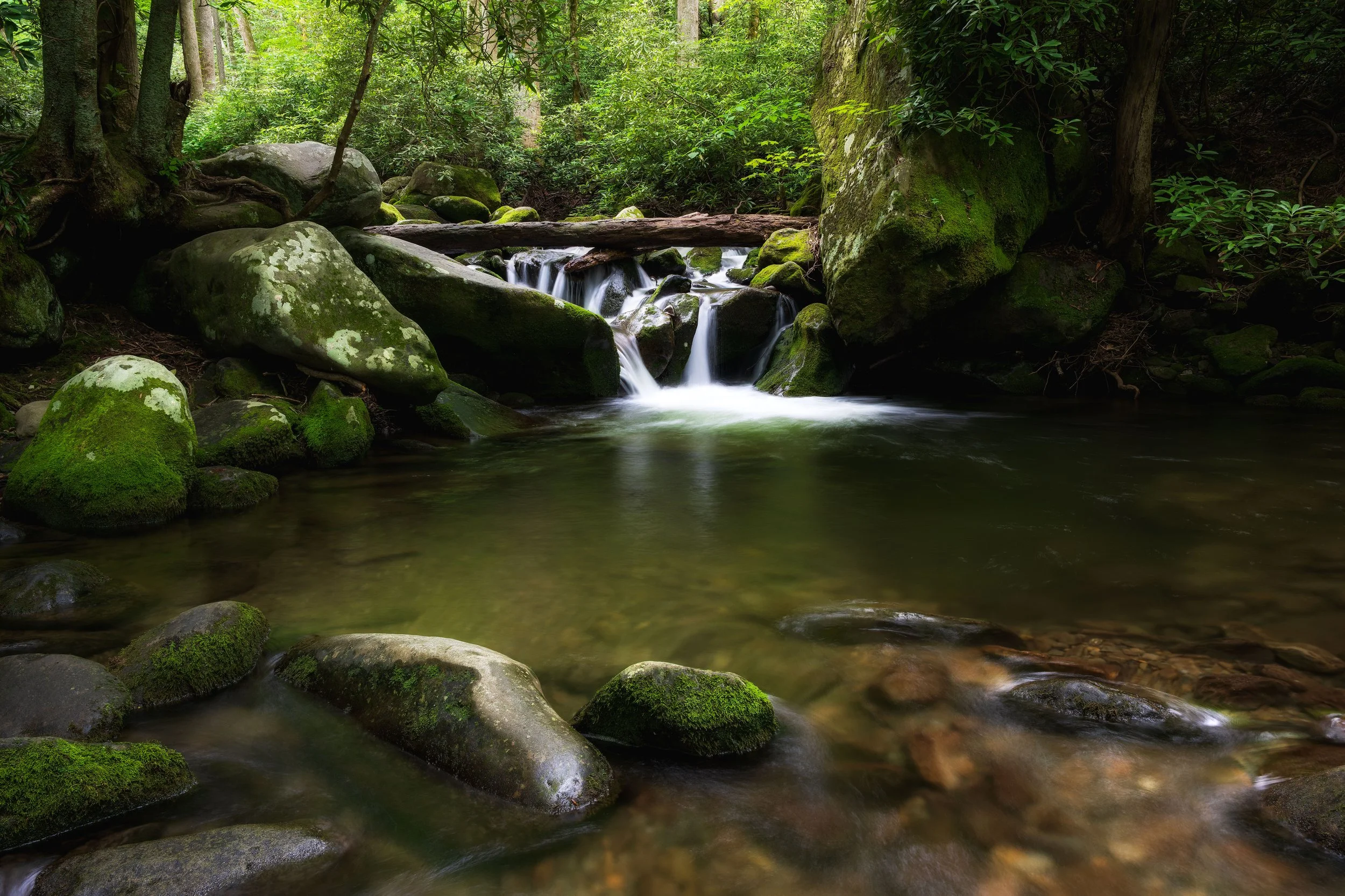 A small waterfall flowing into a calm creek surrounded by moss-covered rocks and dense green forest.