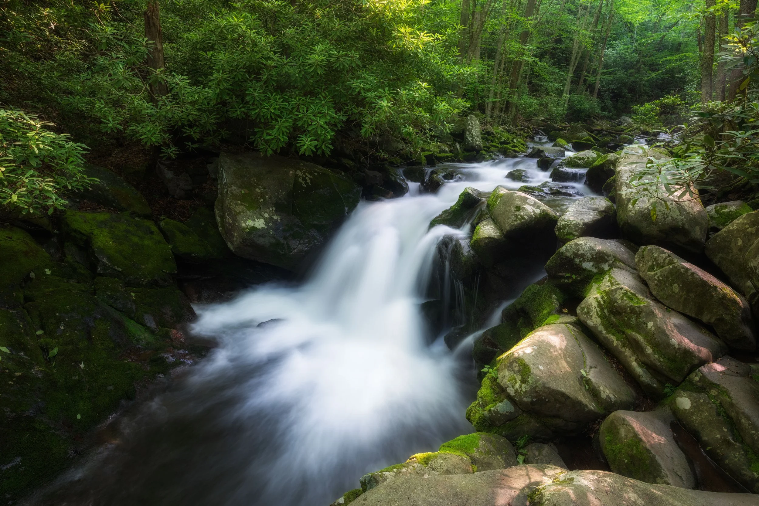 A flowing mountain stream cascading over moss-covered rocks in a lush green forest.