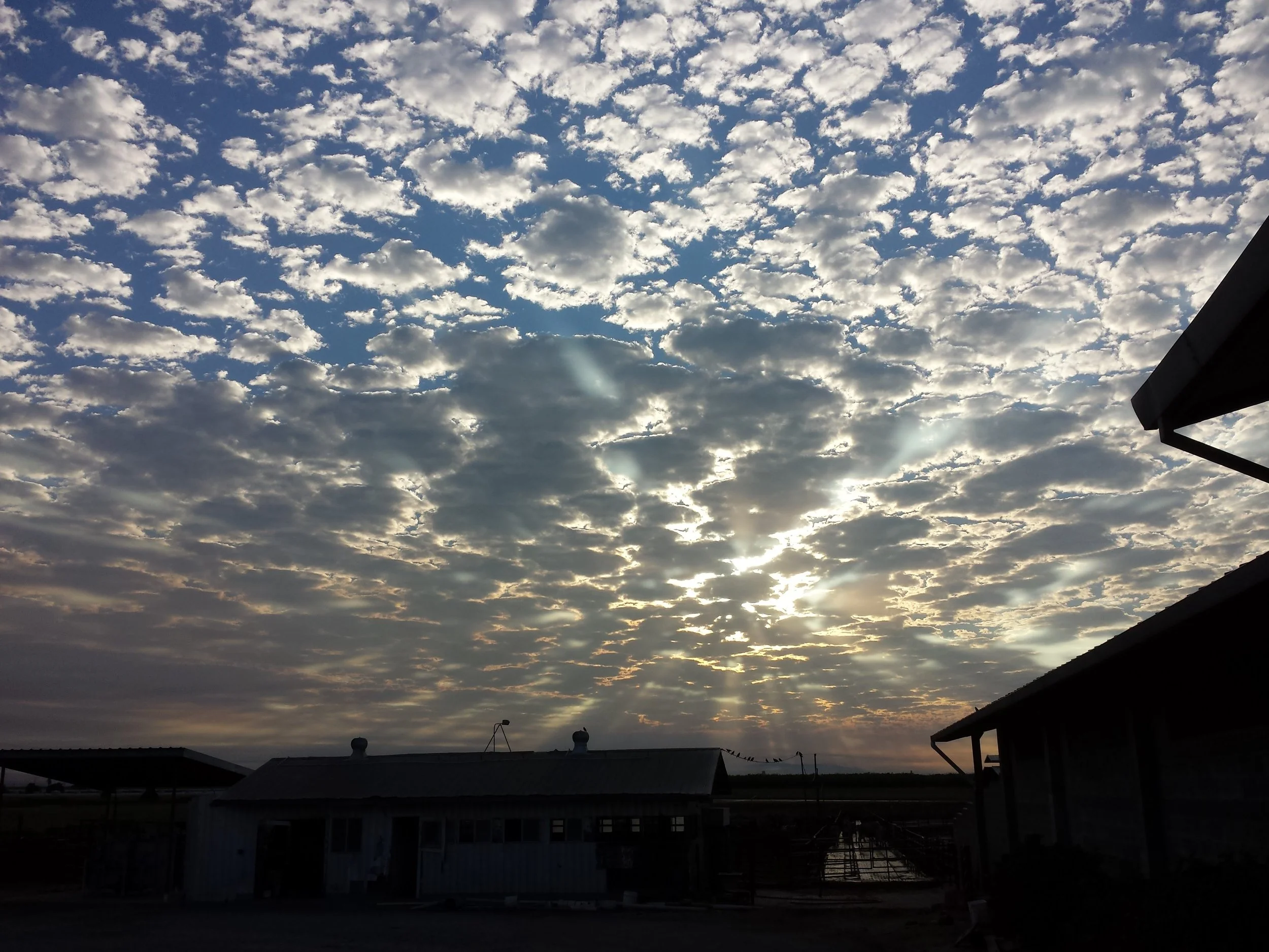Dairy Farm Sky