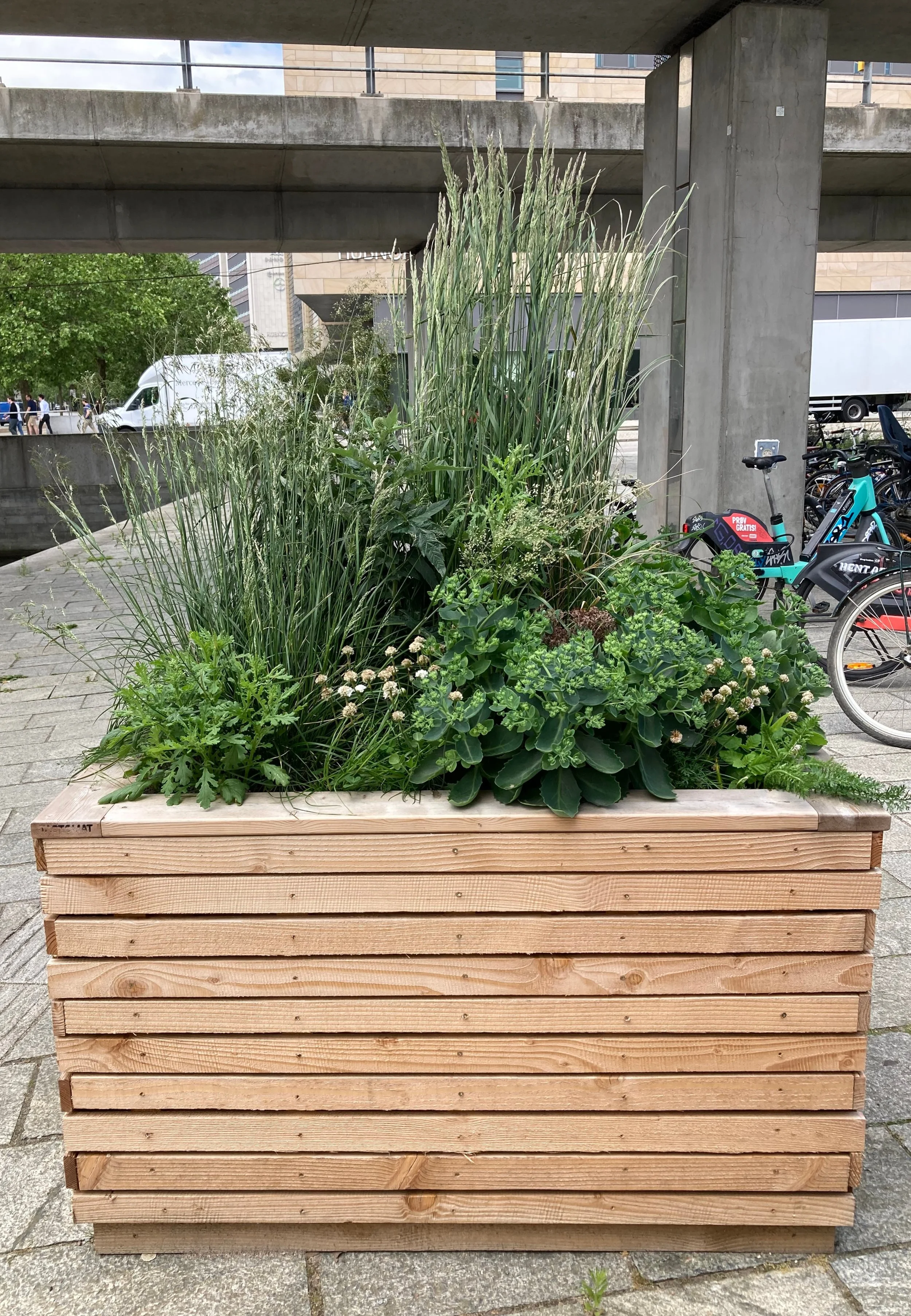 summer2026_planter.jpeg