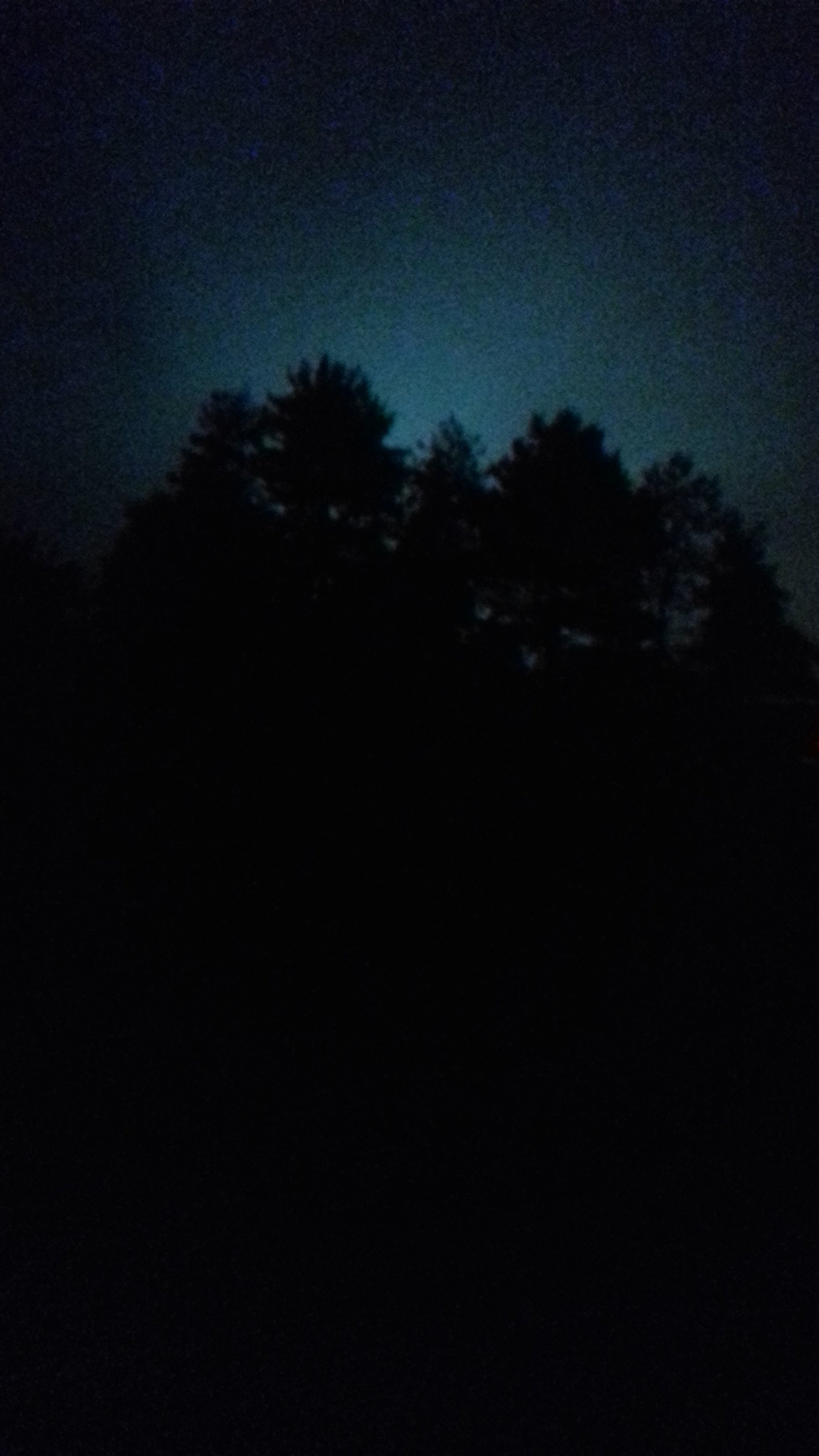 Une nuit étoilée avec des arbres en silhouette au premier plan.