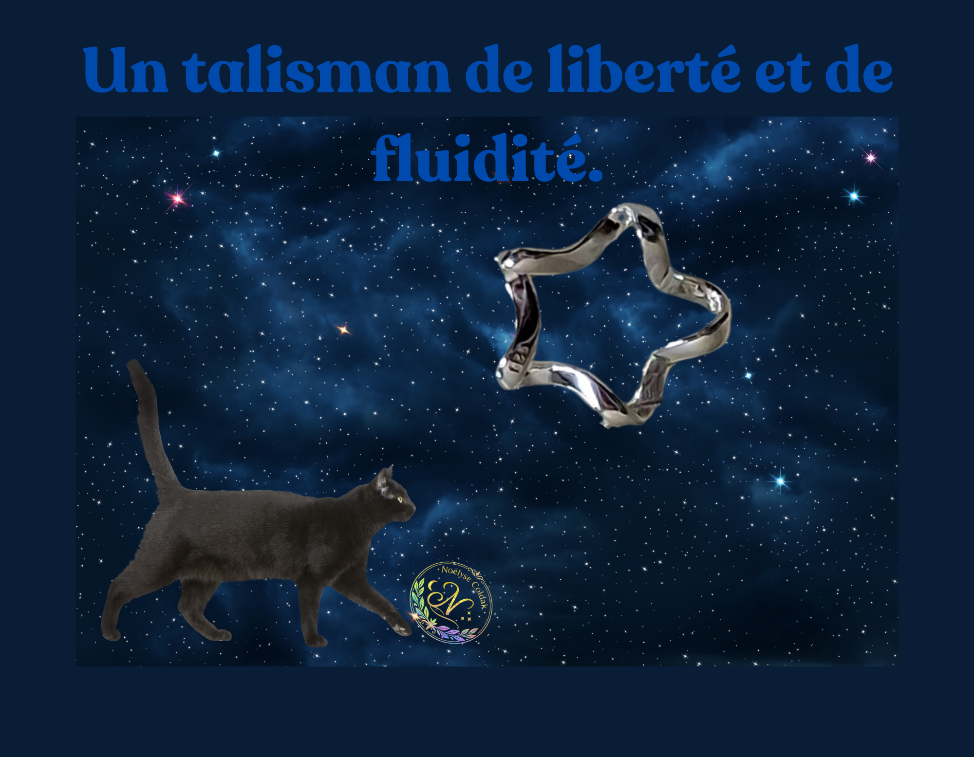 art90- chat étoiles.png